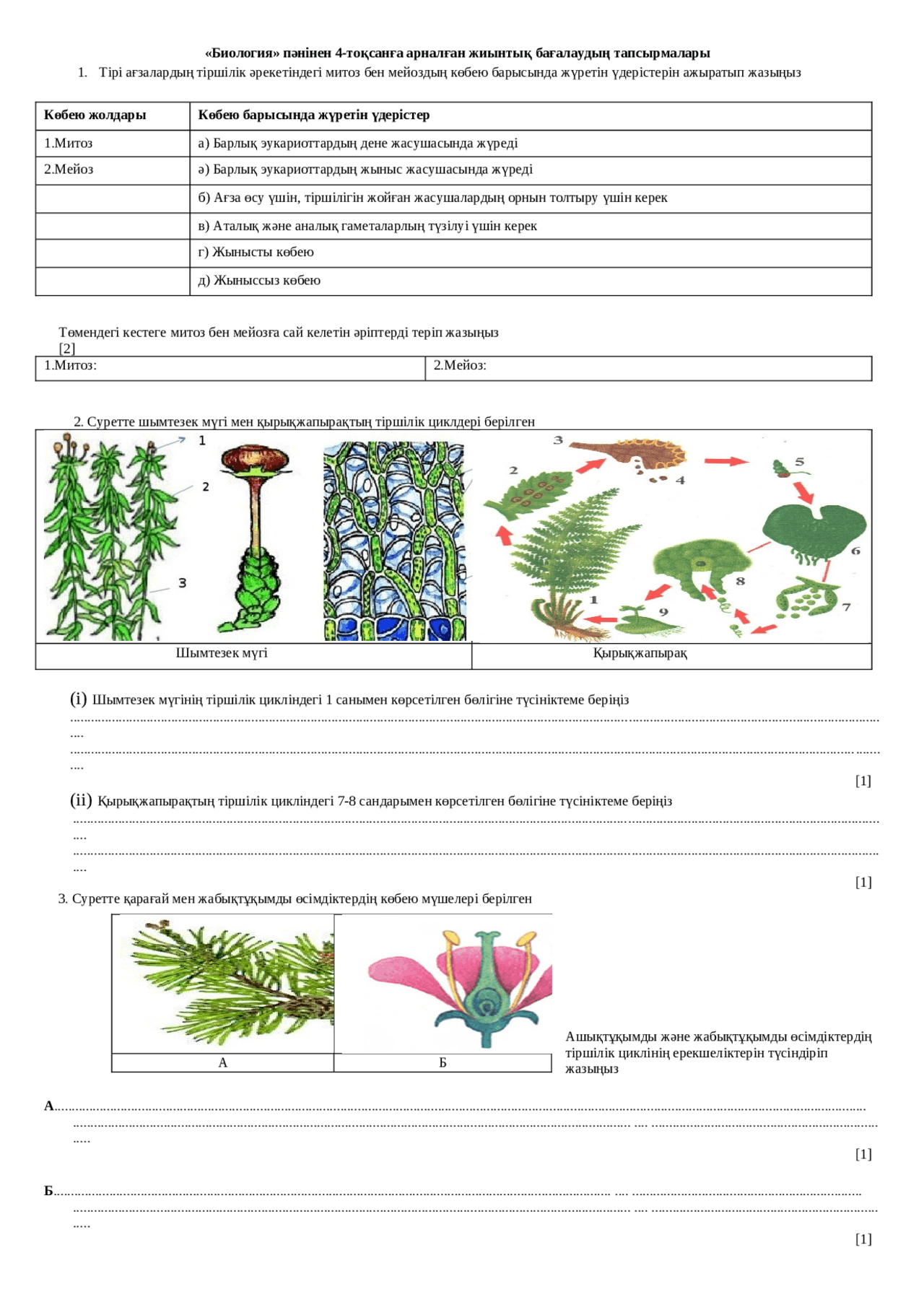 Ішімдік ішіп алған әйелдердің нағыз видеосы