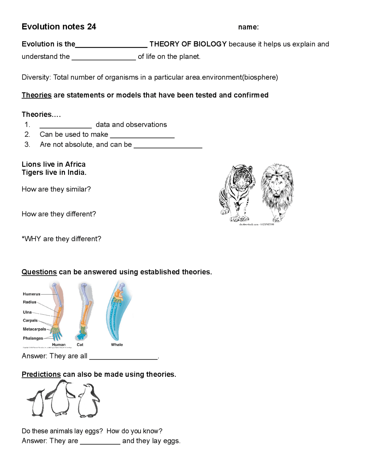 Guided notes Evolution Bio | Schemes and Mind Maps Biology | Docsity