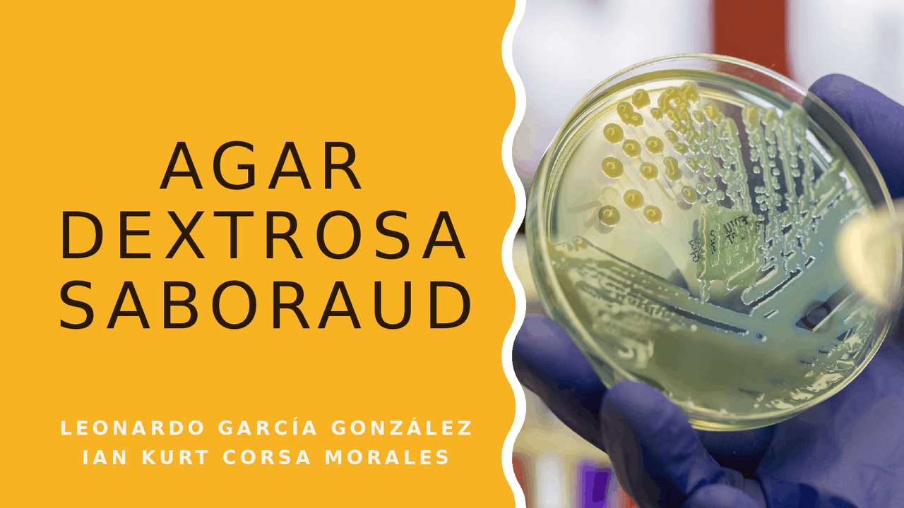 Medio de cultivo Agar Dextrosa Sabouraud | Apuntes de Medicina | Docsity