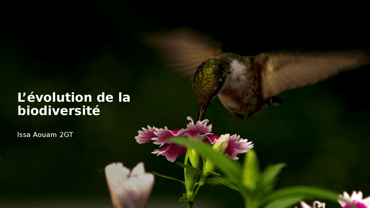 Biodiversité en biologie | Dissertation Biologie | Docsity