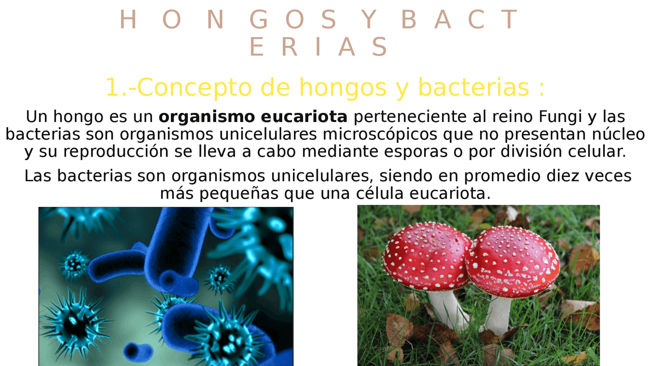 Hongos y Bacterias: Beneficios y Riesgos | Esquemas y mapas conceptuales de  Biología | Docsity