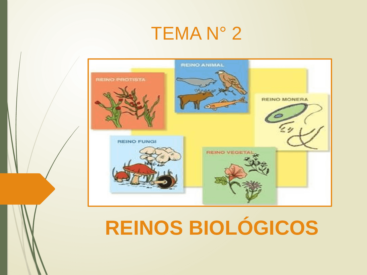 Los Reinos Biológicos y el Lugar de las Bacterias en la Naturaleza |  Diapositivas de Microbiología | Docsity