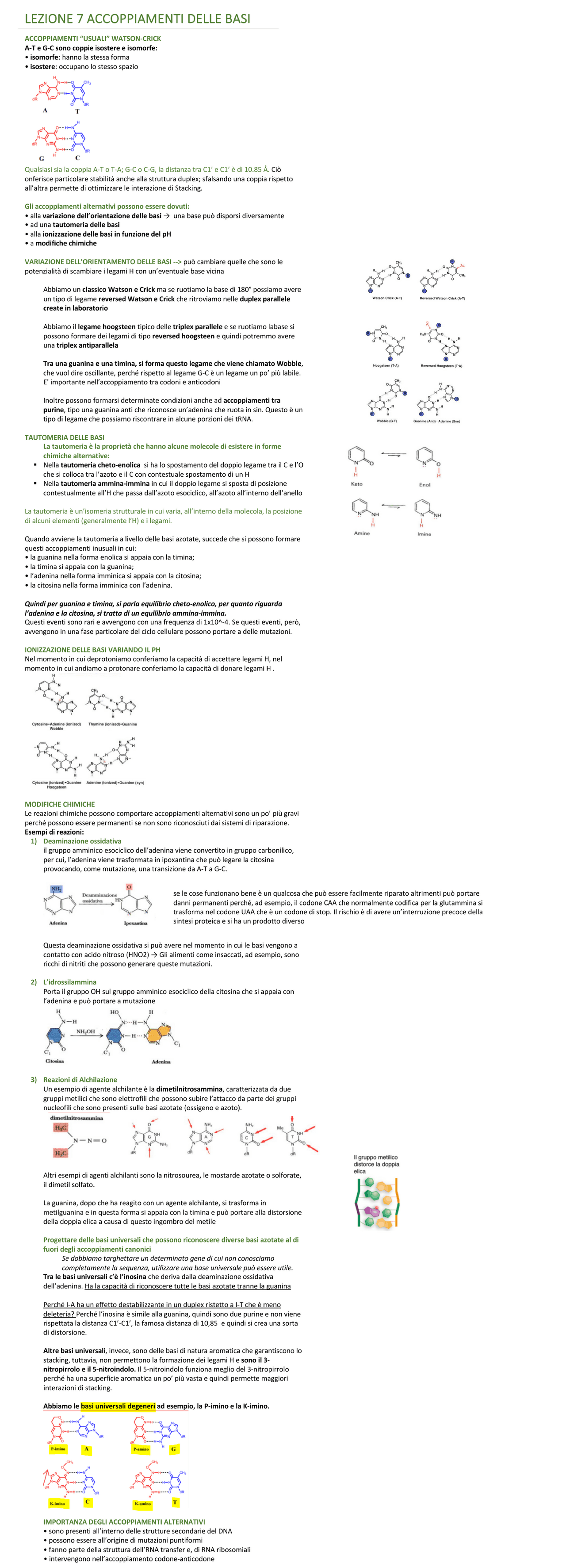 Schema chimica biorganica prof Esposito | Schemi e mappe concettuali di ...