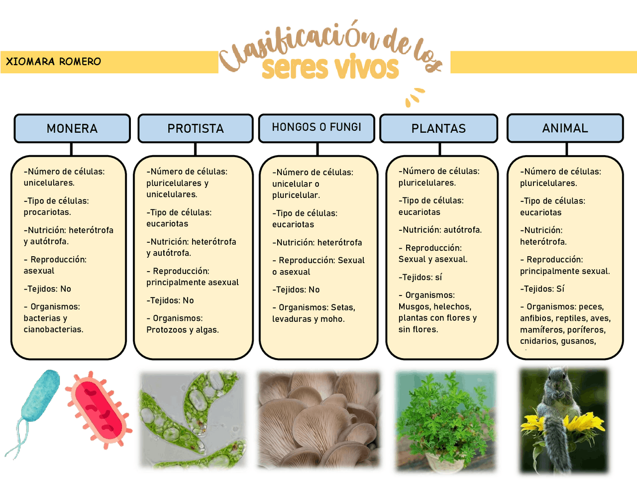 LOS 5 REINOS de biología | Esquemas y mapas conceptuales de Biología |  Docsity