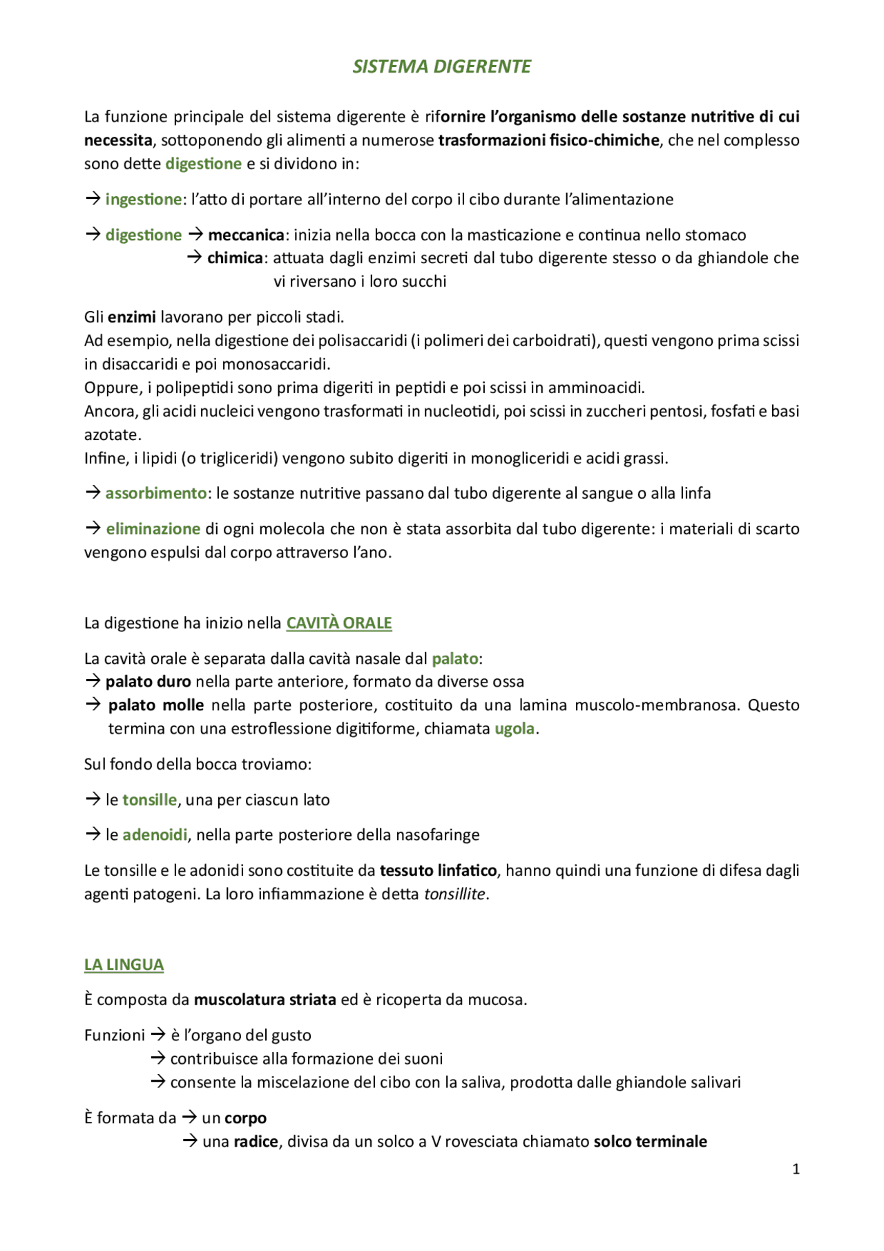 Sistema Digerente: Funzionamento e Struttura | Dispense di Biologia ...