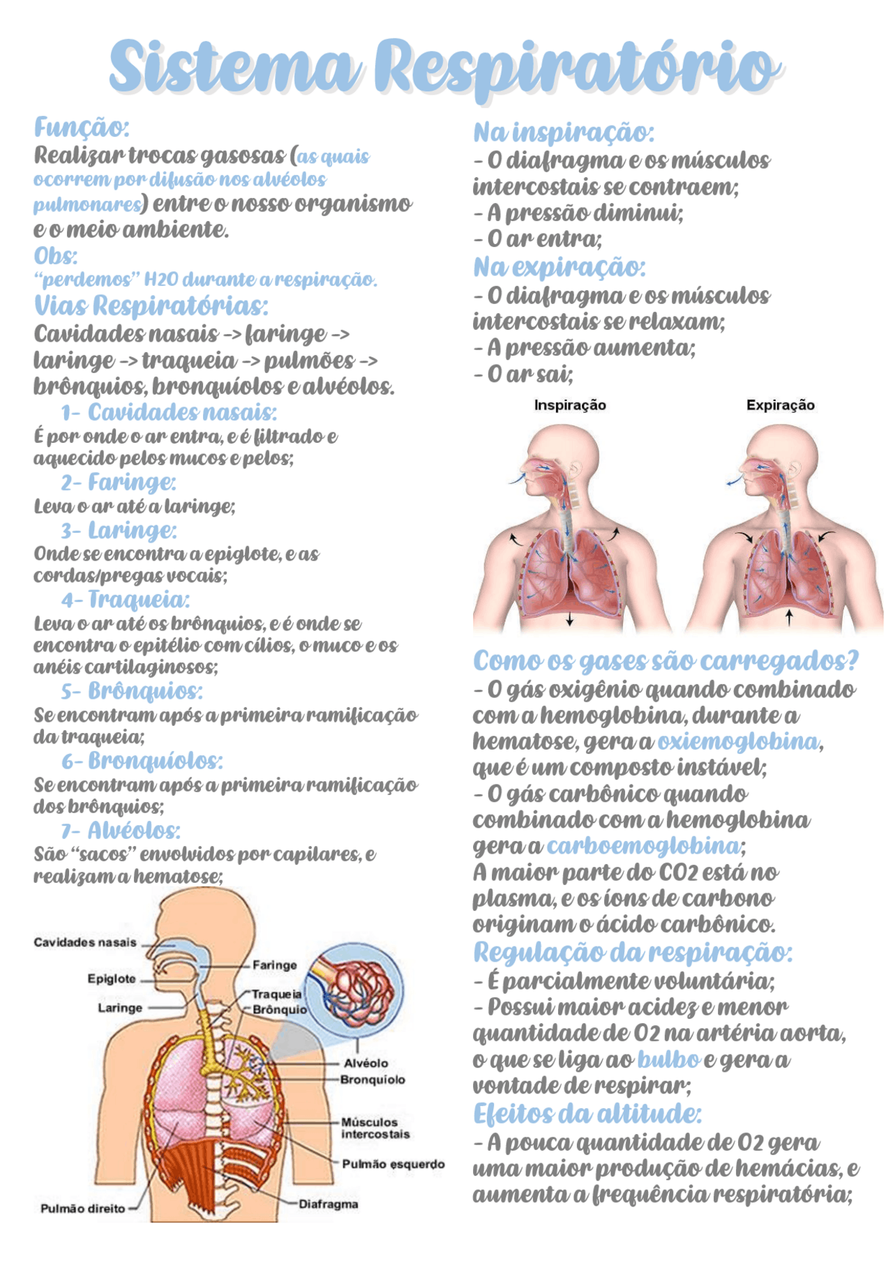 SISTEMA RESPIRAT RIO Resumos - 24824b0f43a9695f3fa8baddd7565c85 