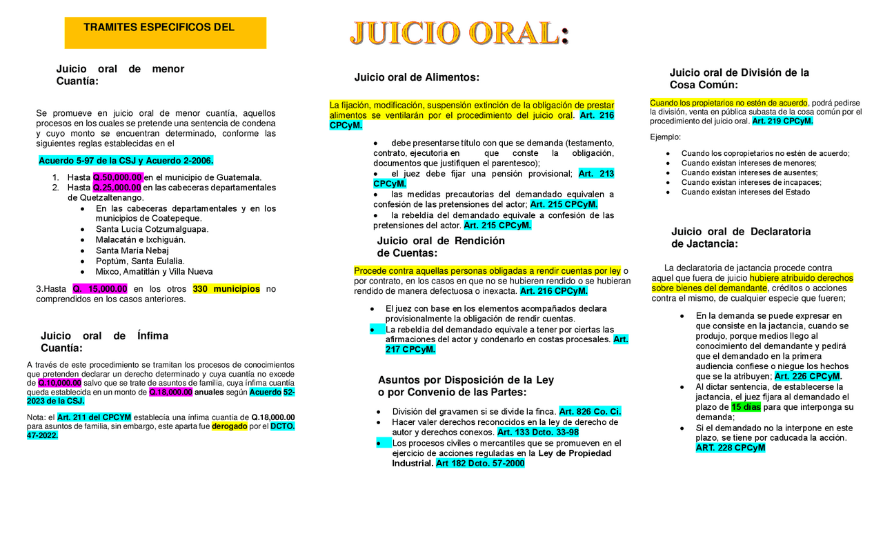 Memorial De Juicio Oral De Alimentos En Guatemala