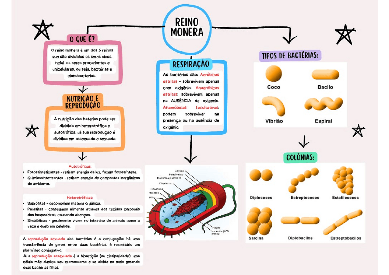Reino Monera - Mapa mental completo. | Esquemas Biologia | Docsity