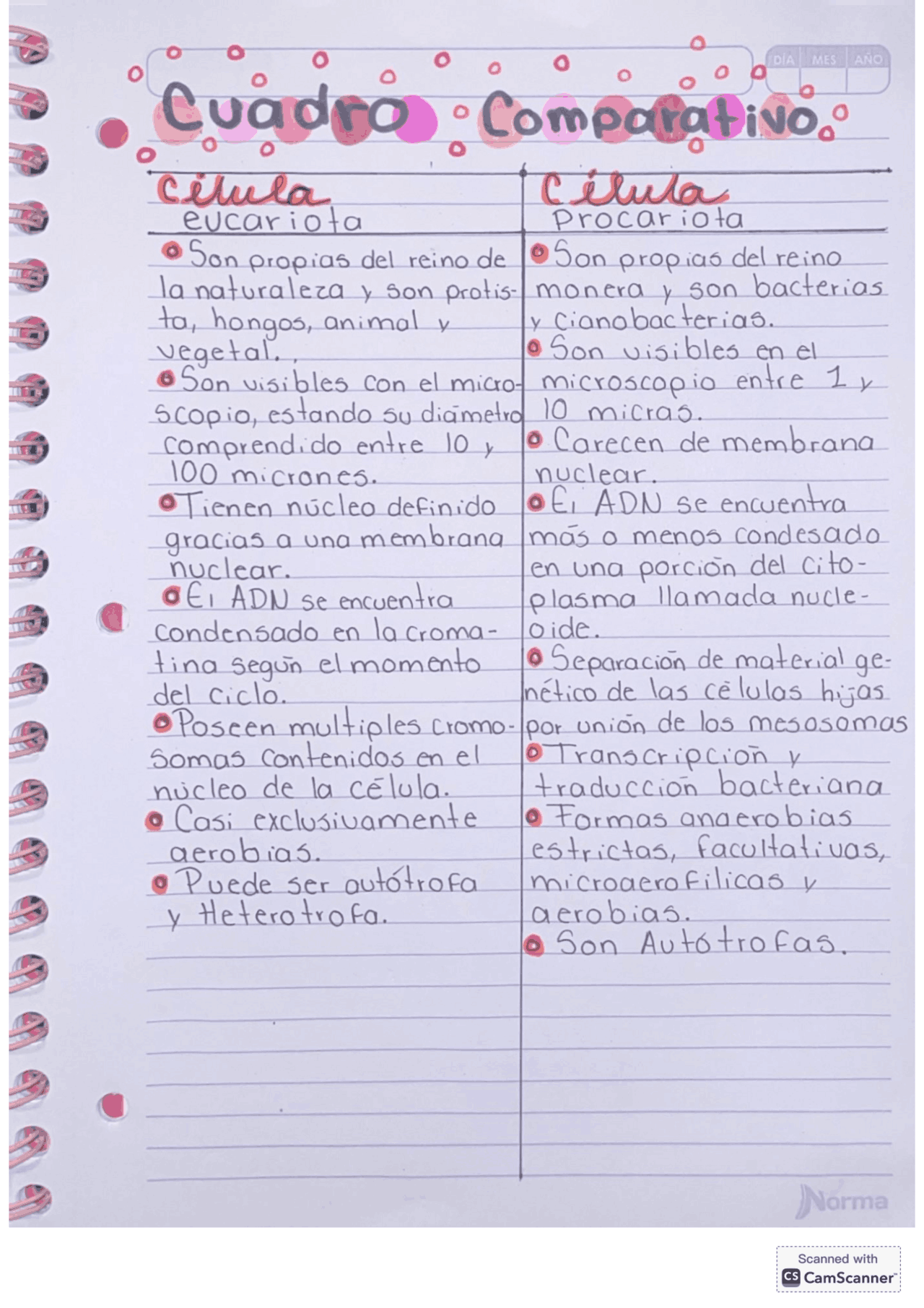 Cuadro comparativo de la célula eucariota y procariota | Apuntes de  Biología Celular y Molecular | Docsity