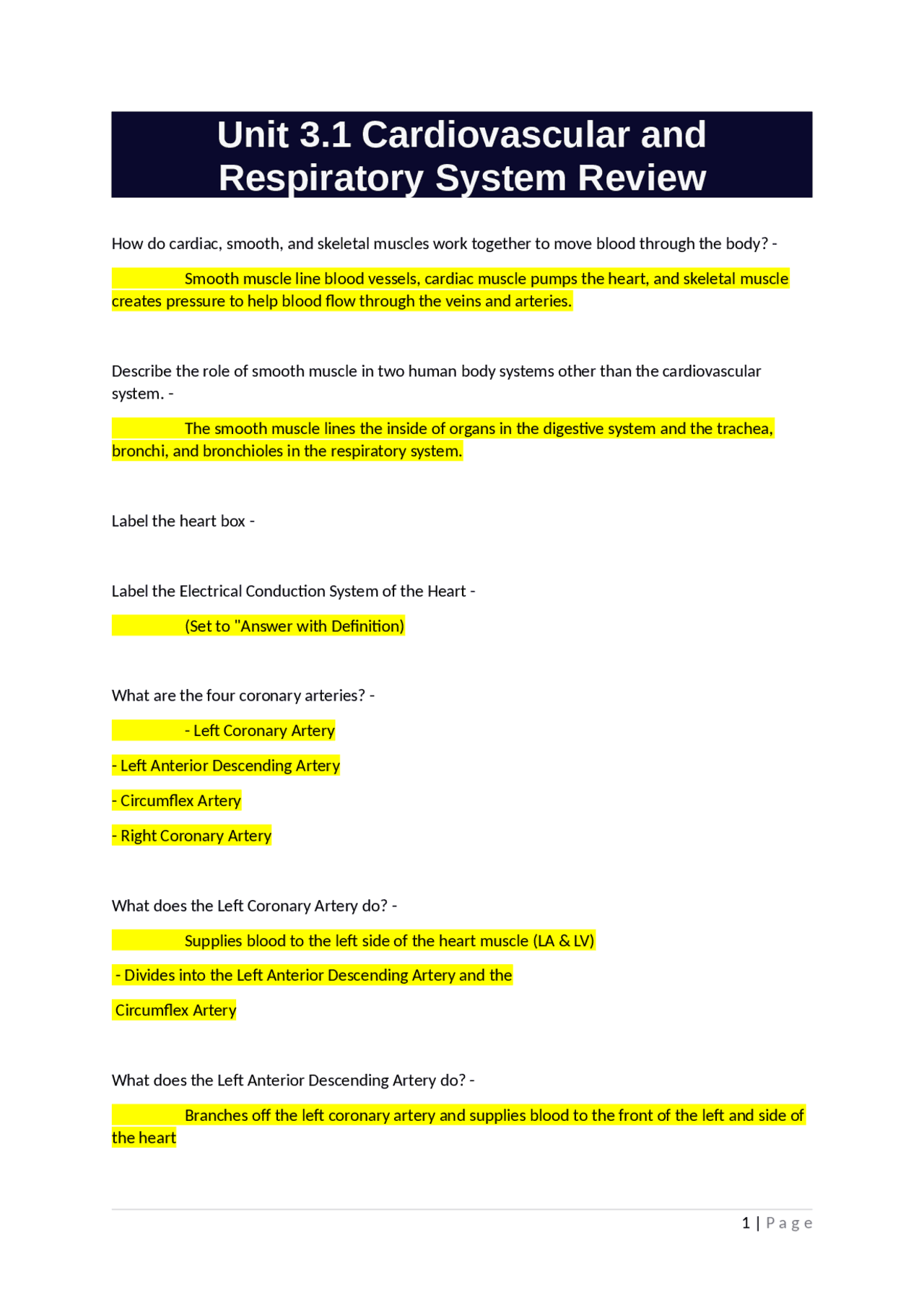 Unit 3.1 Cardiovascular and Respiratory System Review | Exams ...