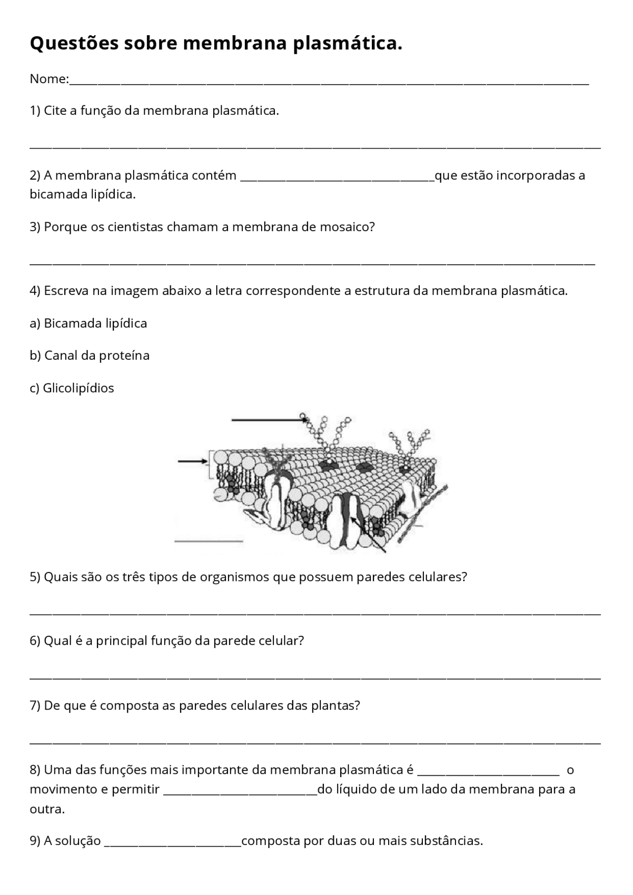 Lista de exercícios membrana plasmática | Exercícios Biologia | Docsity
