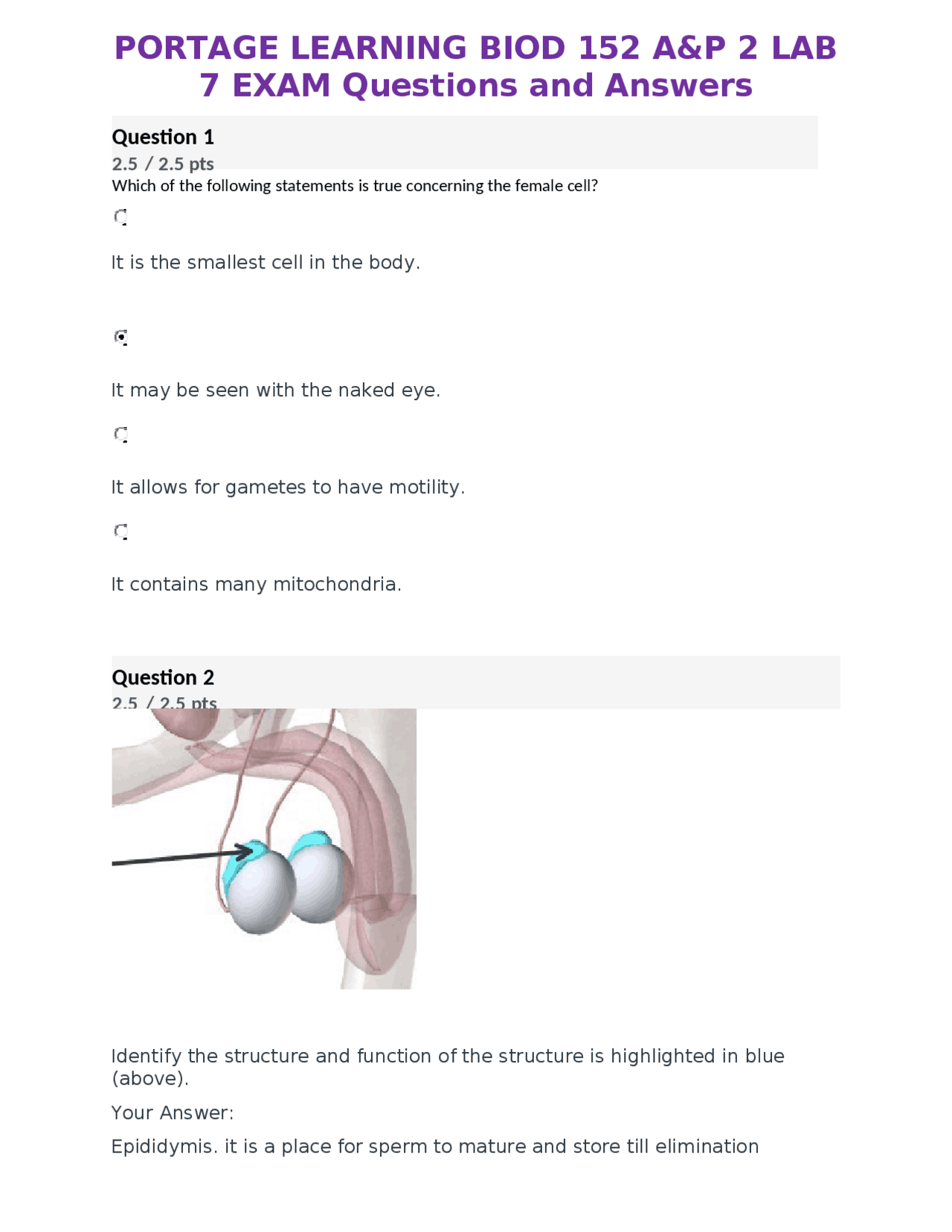 PORTAGE LEARNING BIOD 152 A&P 2 LAB 7 EXAM Questions and Answers ...