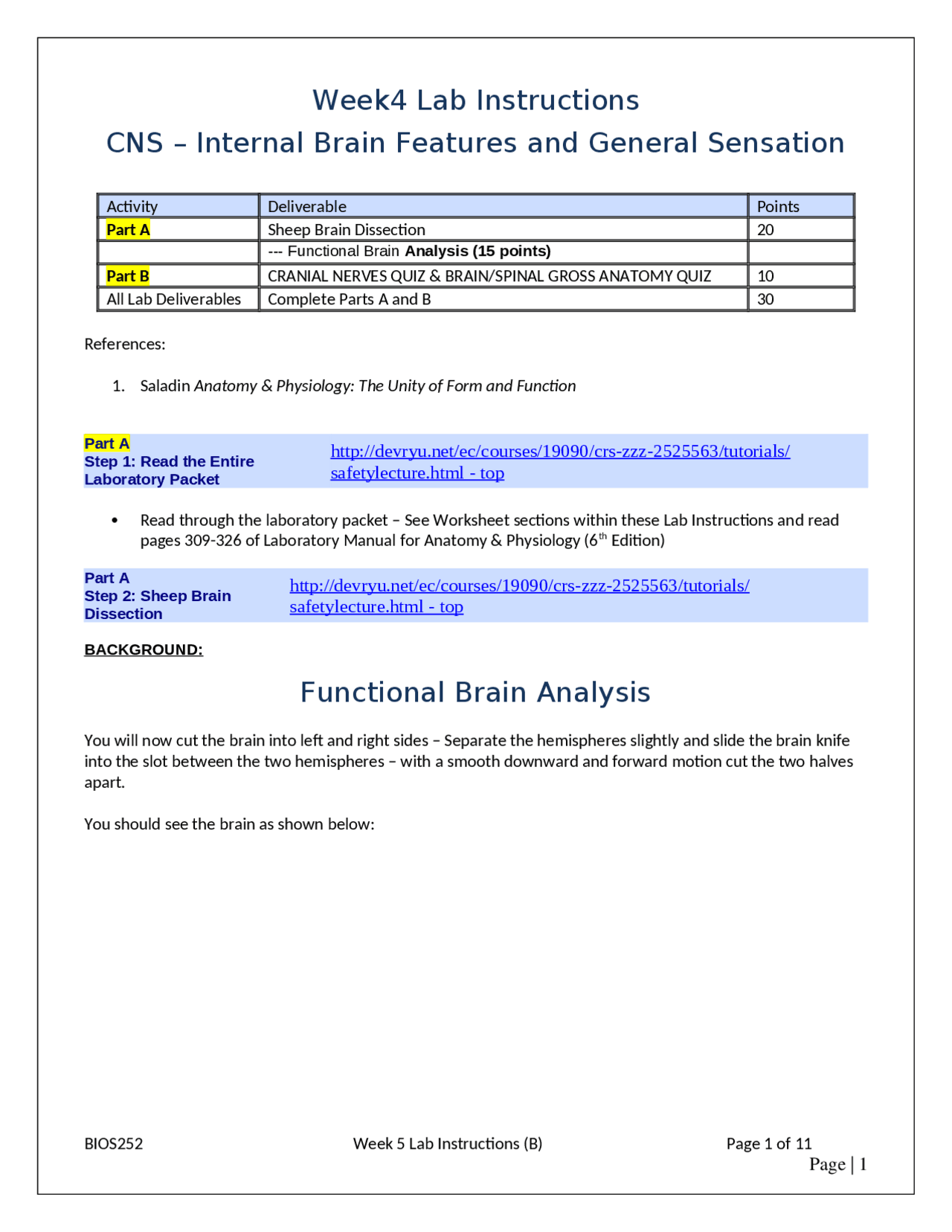 Sheep Brain Dissection and Functional Brain Analysis: Week 5 Lab ...