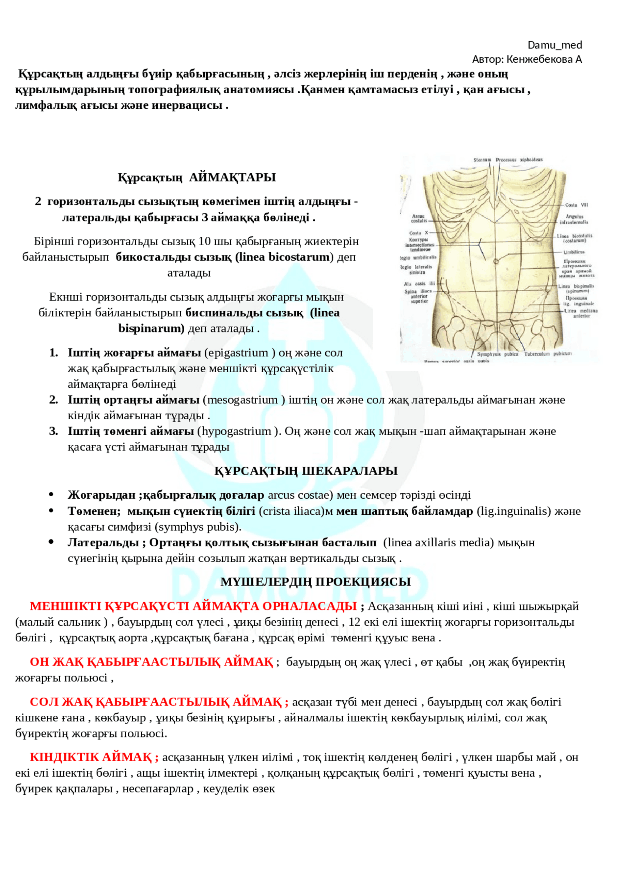 Сперматозоидтар анамның құрбының кискасынан шығады