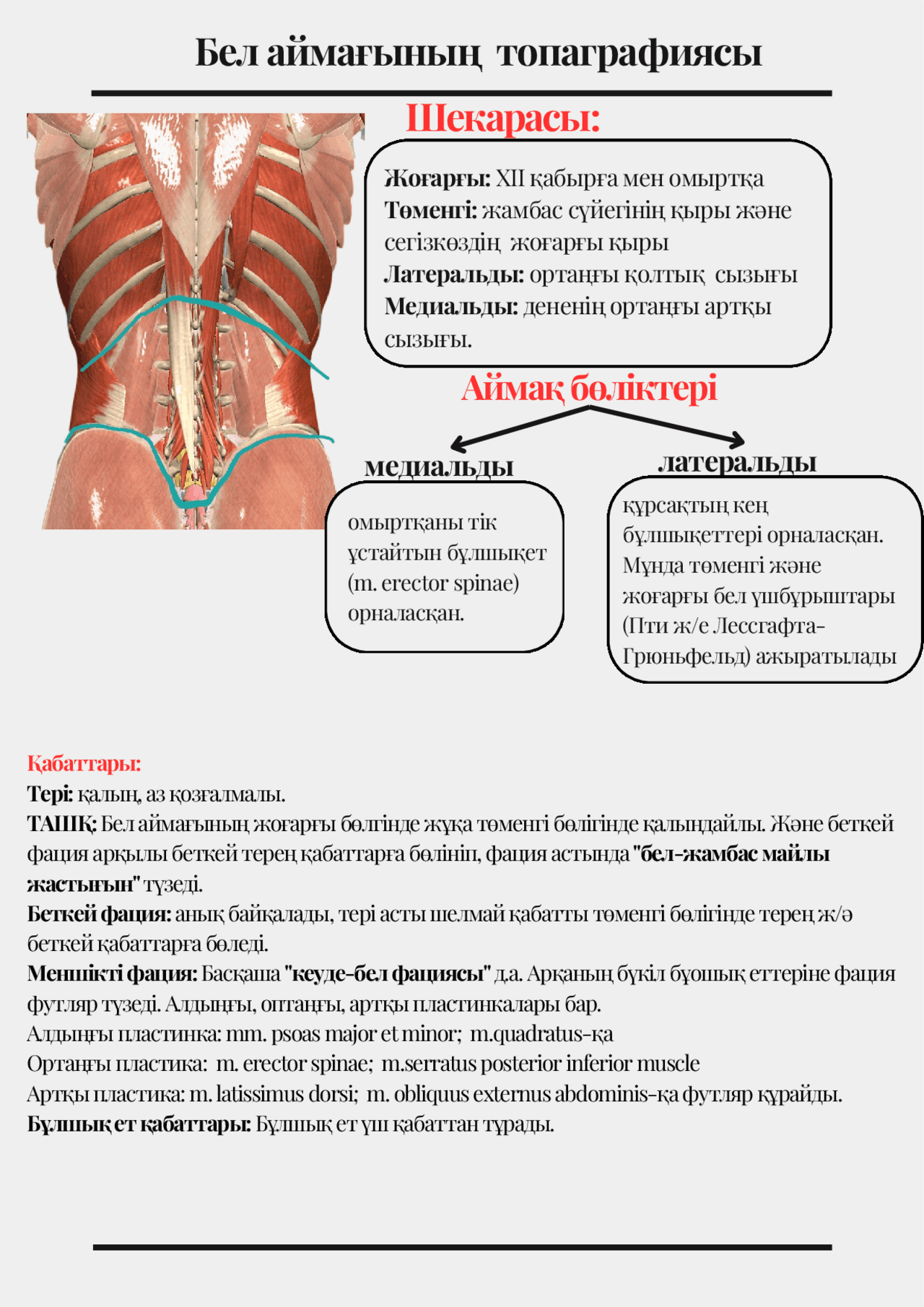 Кеуде және кең жамбас Кеуде және кең жамбас