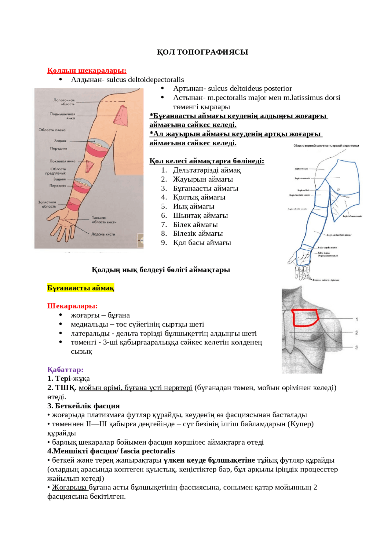 Автобуста қыздардың мені қорлауын қараңыз Әйелдің қынапшасындағы жыныс мүшесі