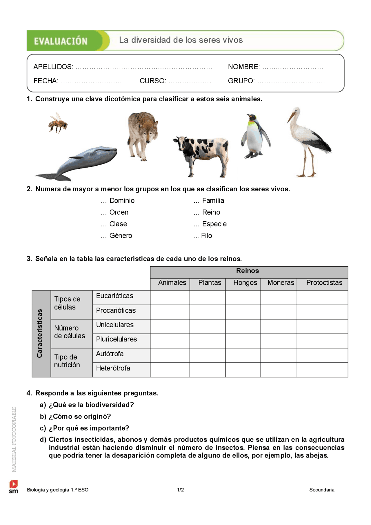 Evaluación la diversidad de los seres vivos - 1 eso | Ejercicios de  Biología | Docsity