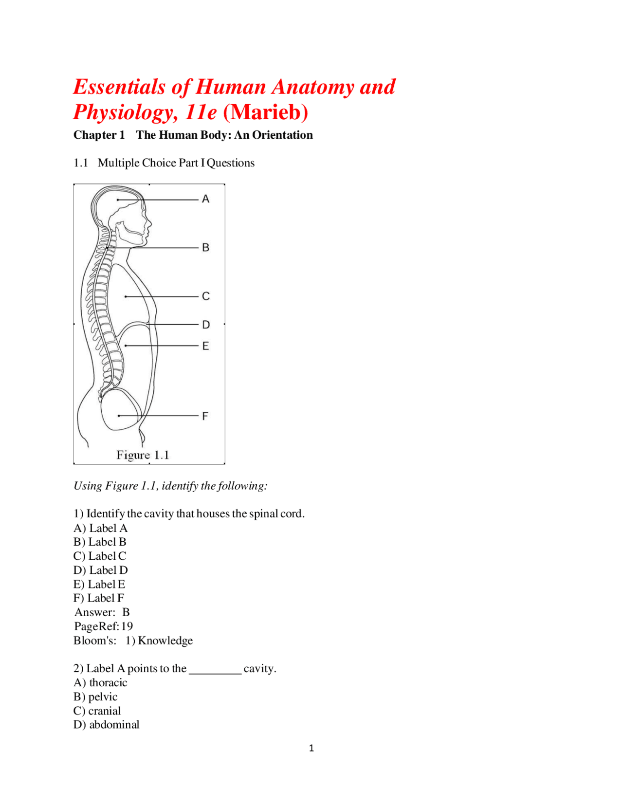 Essentials of Human Anatomy and Physiology exam questions with complete ...