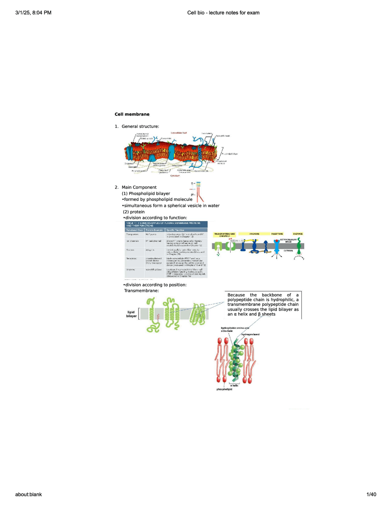 Cell bio - lecture notes for exam-Cell and Development | Lecture notes ...