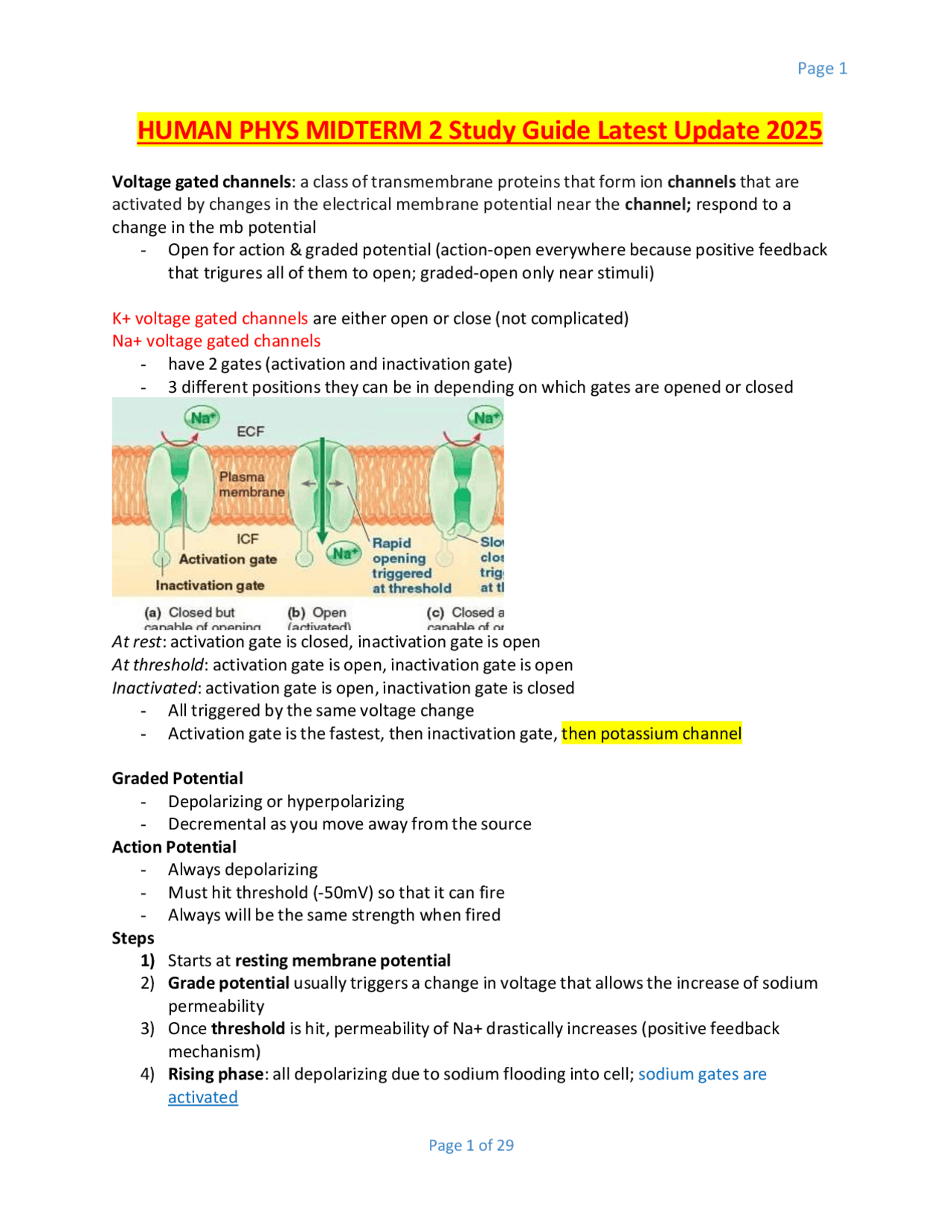 HUMAN PHYS MIDTERM 2 Study Guide Latest Update 2025 | Exams Health ...