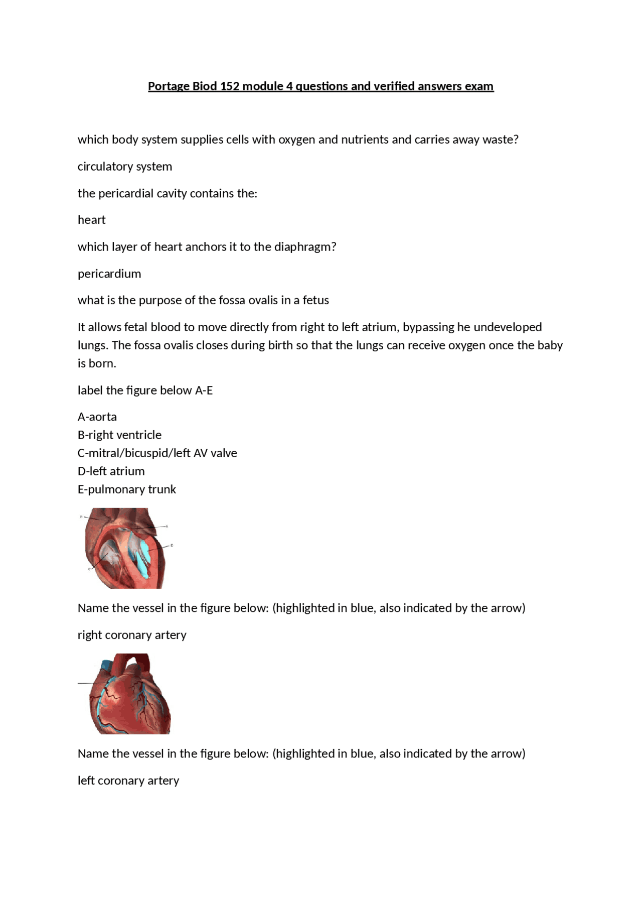 Portage Biod 152 module 4 questions and verified answers exam | Exams ...