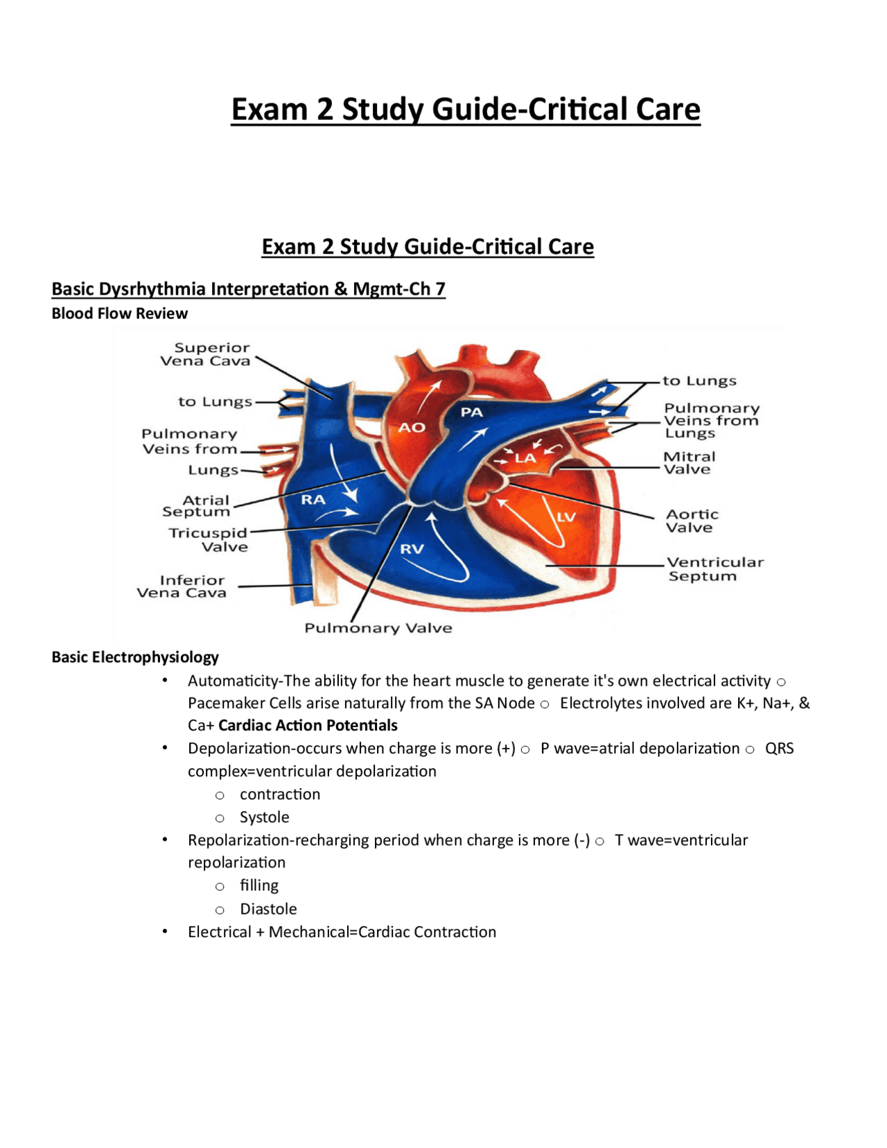 Exam 2 Study Guide-Critical Care | Exams Nursing | Docsity