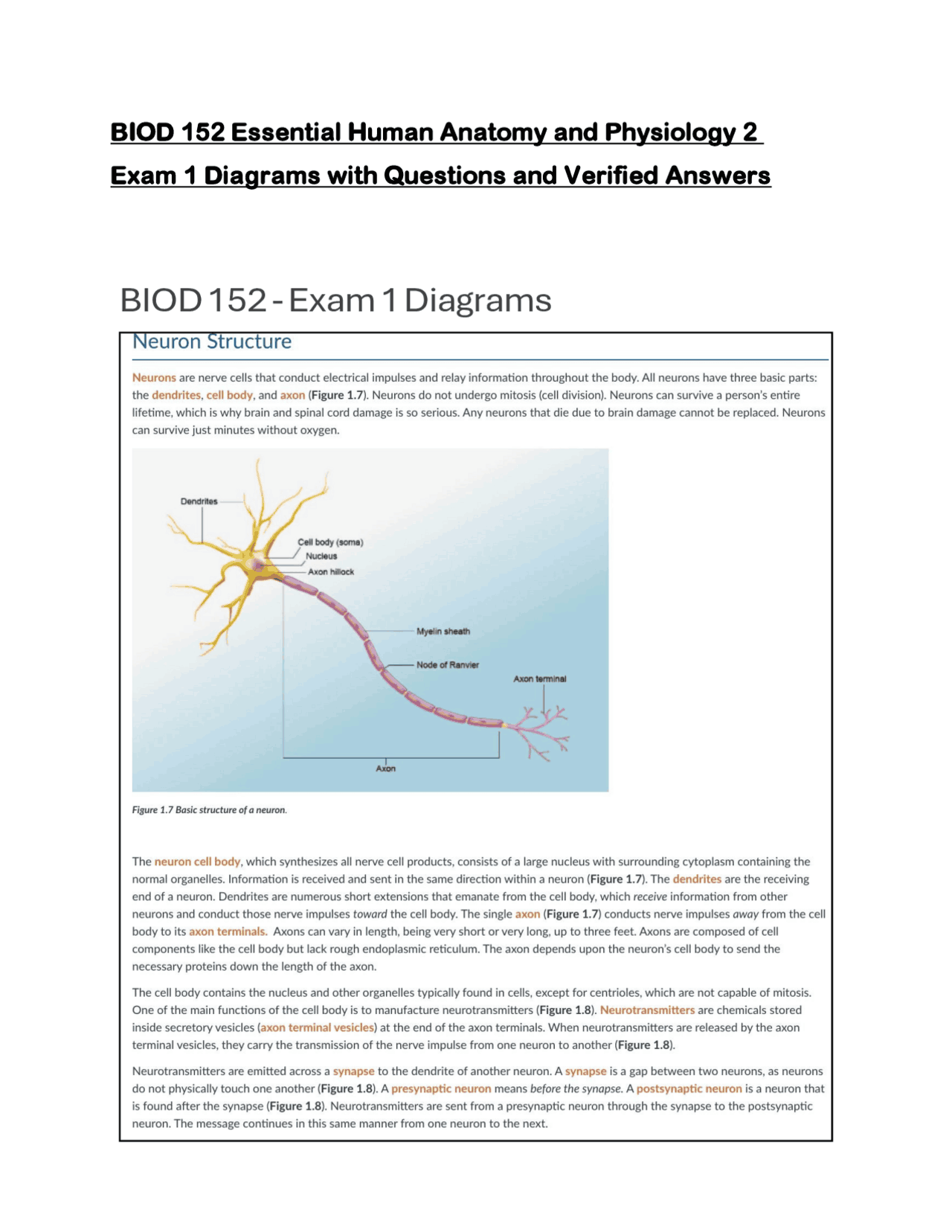 BIOD 152 Essential Human Anatomy and Physiology 2 Exam 1 Diagrams with ...
