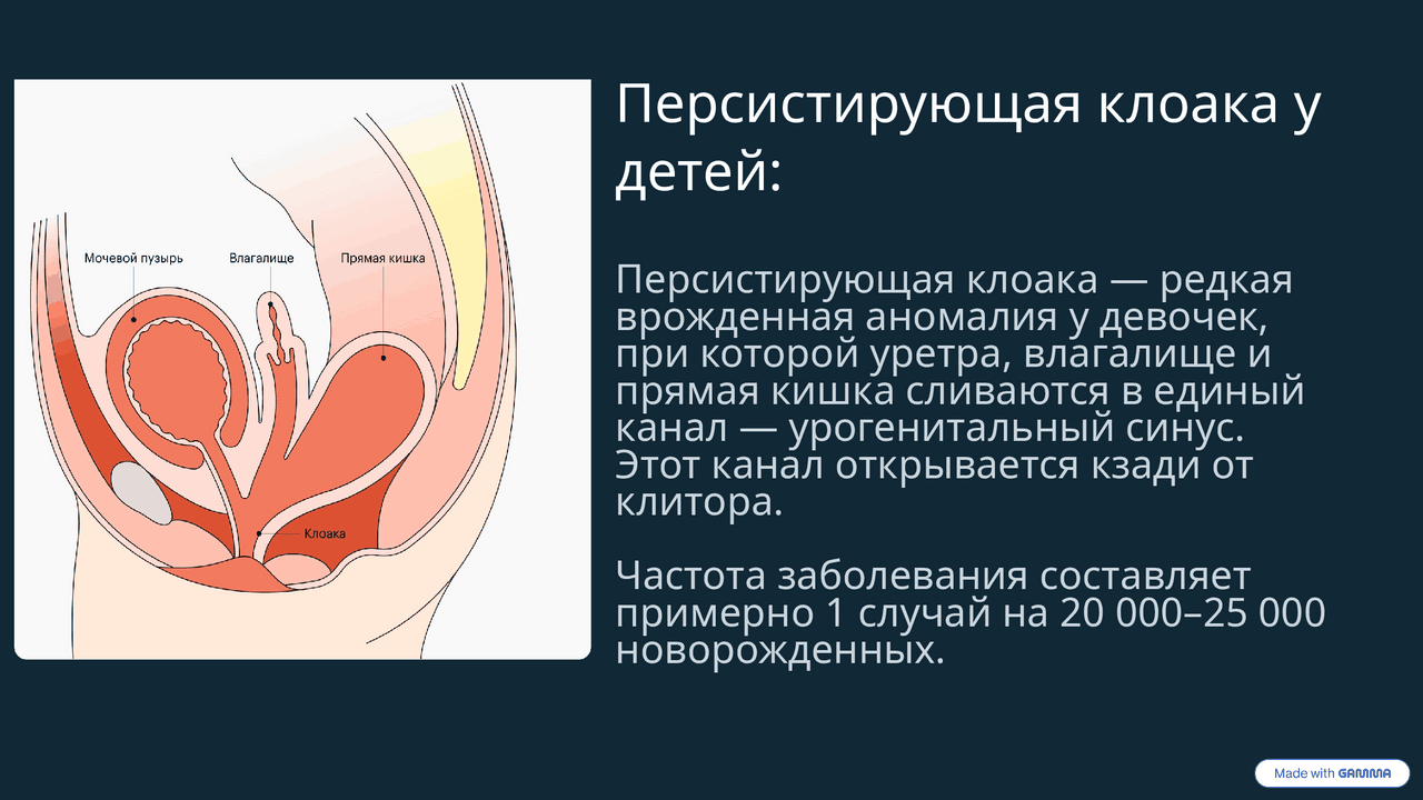 Клиторальды фото хирургия