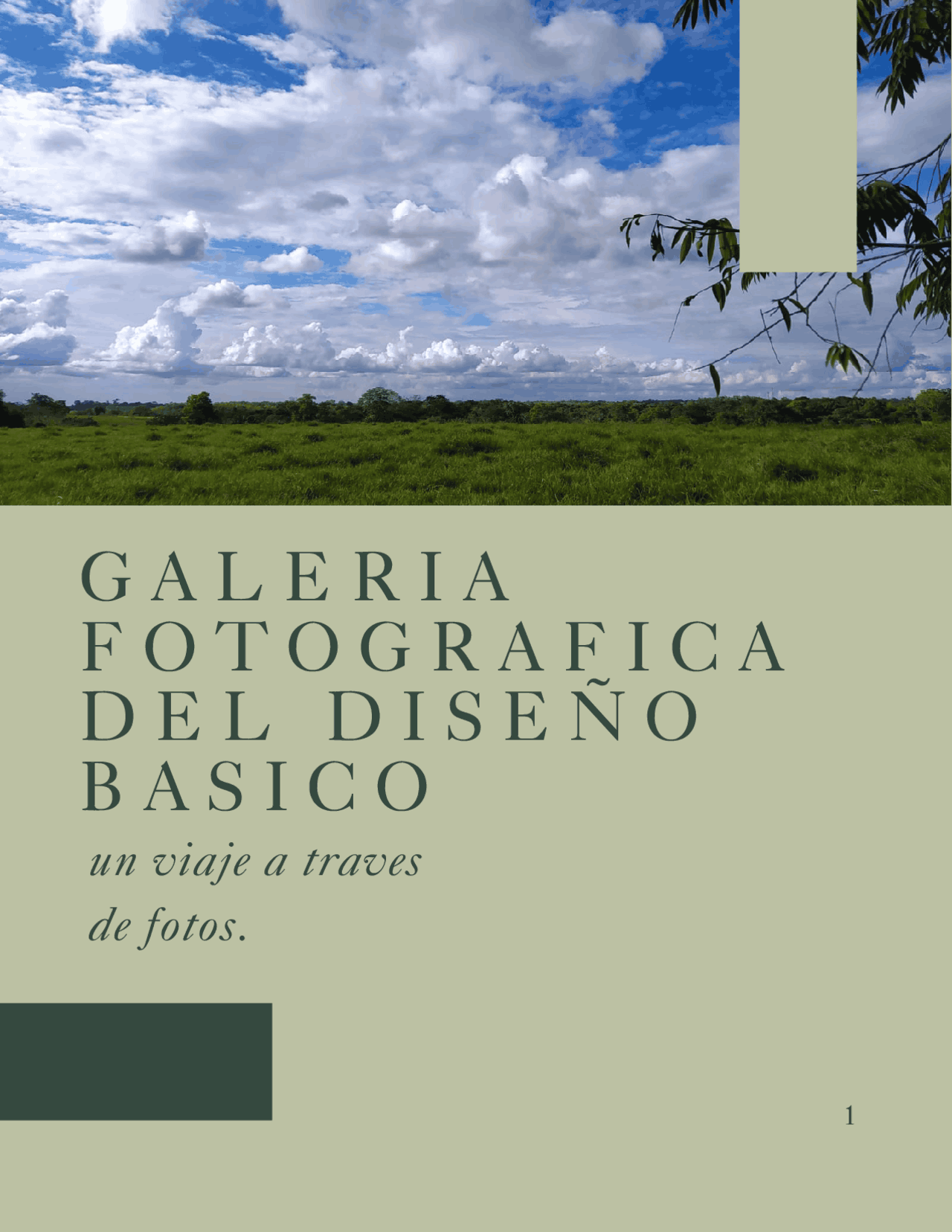 Evidencia GA1-291301077-AA1-EV02. Galería fotográfica de diseño básico ...