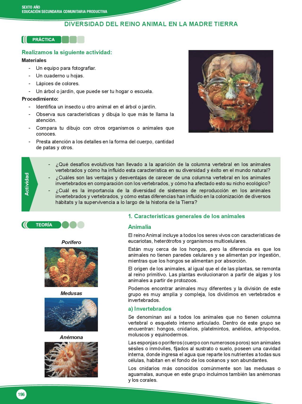 El Agua: Características, Usos y Conservación | Guías, Proyectos,  Investigaciones de Literatura Latina | Docsity