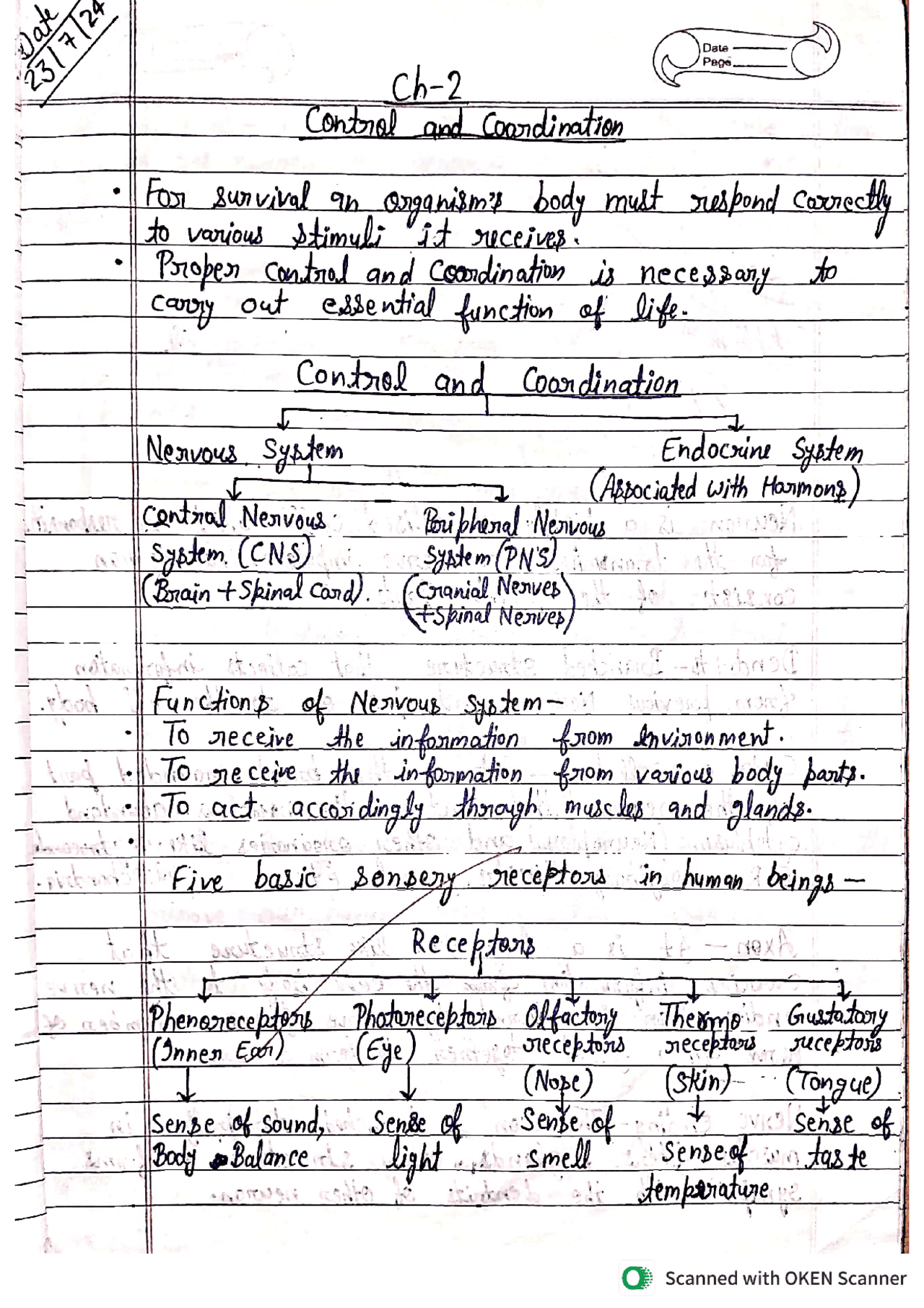 Class 10 Biology Chapter 2 – Control and Coordination (Complete Notes ...