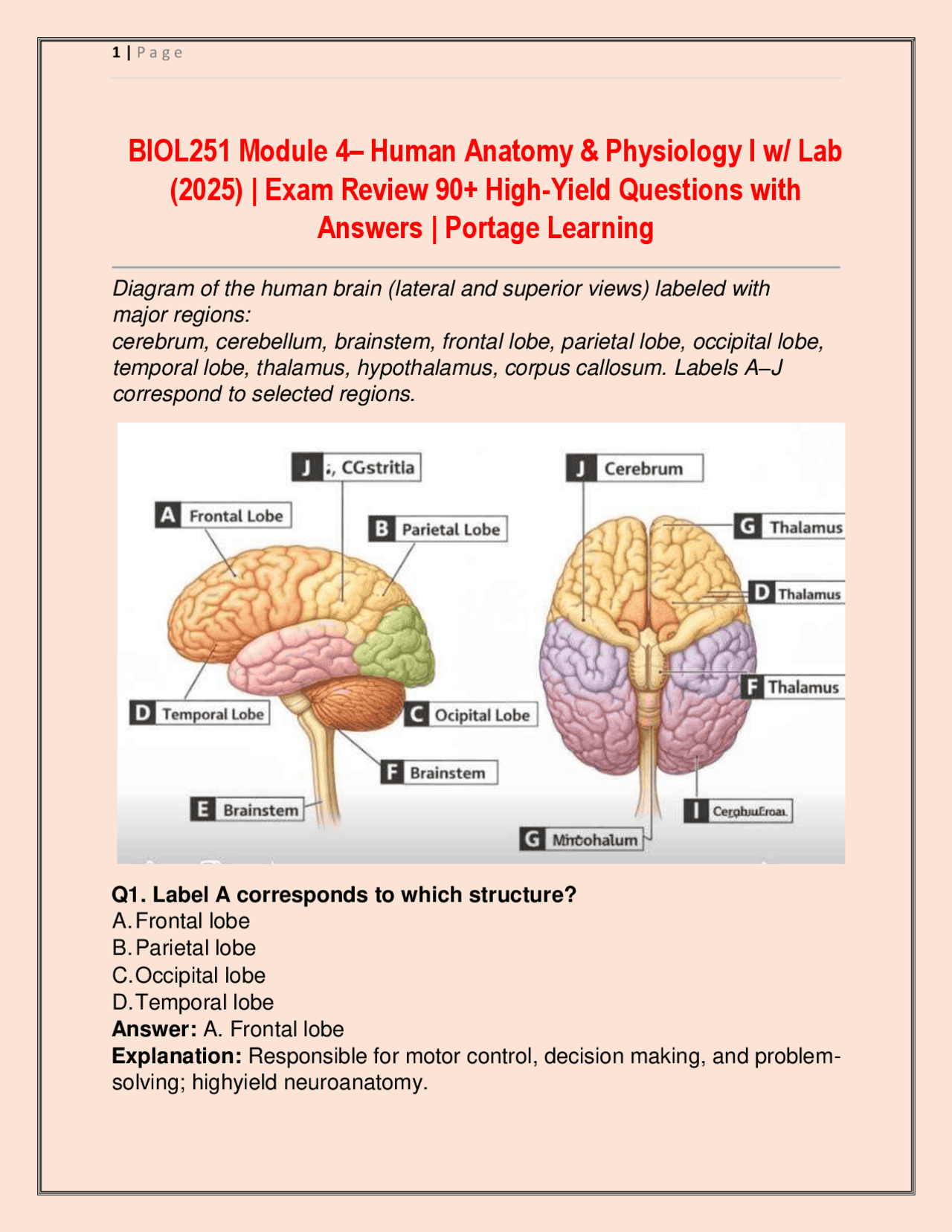 BIOL251 Module 4– Human Anatomy & Physiology I w/ Lab (2025) | Exam ...