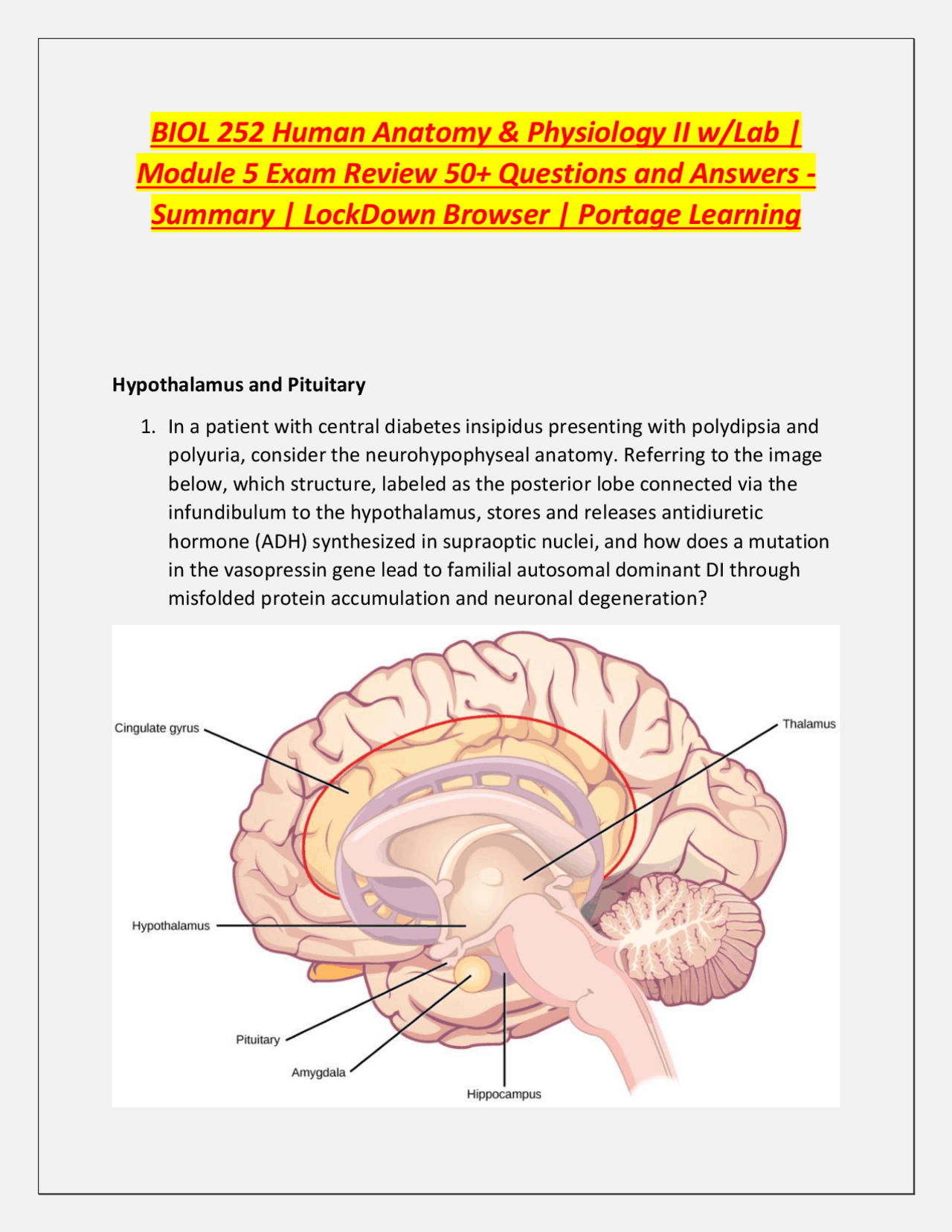 BIOL 252 Human Anatomy & Physiology II w/Lab | Module 5 Exam Review 50 ...