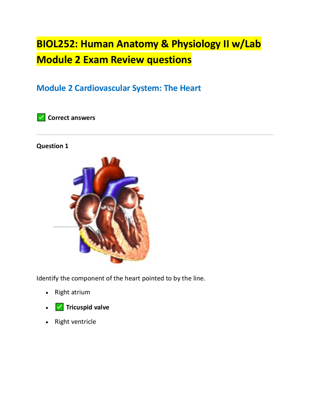 BIOL252: Human Anatomy & Physiology II w/Lab Module 2 Exam Review ...