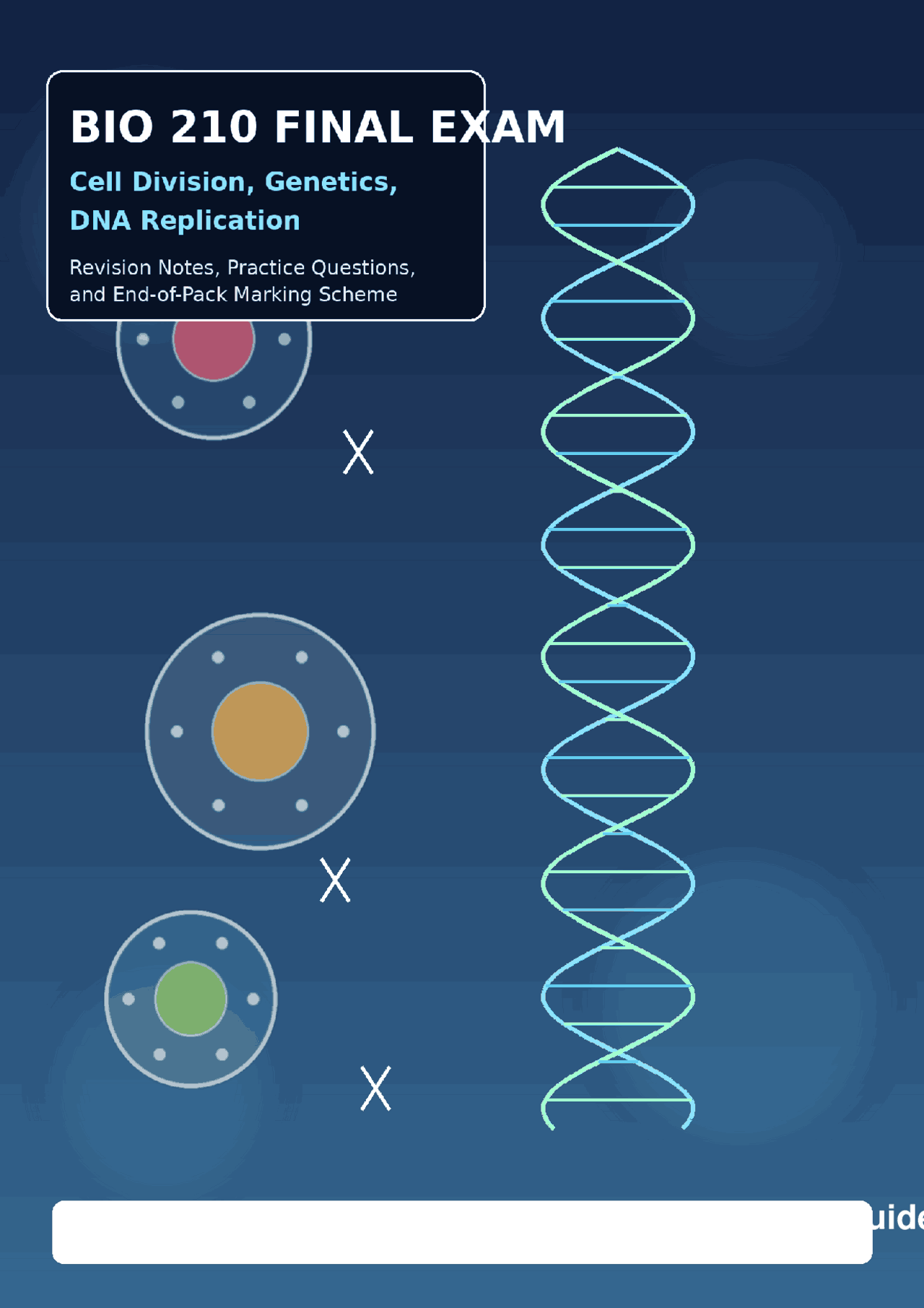 BIO 210 Final Exam Revision Pack: Cell Division, Genetics & DNA ...
