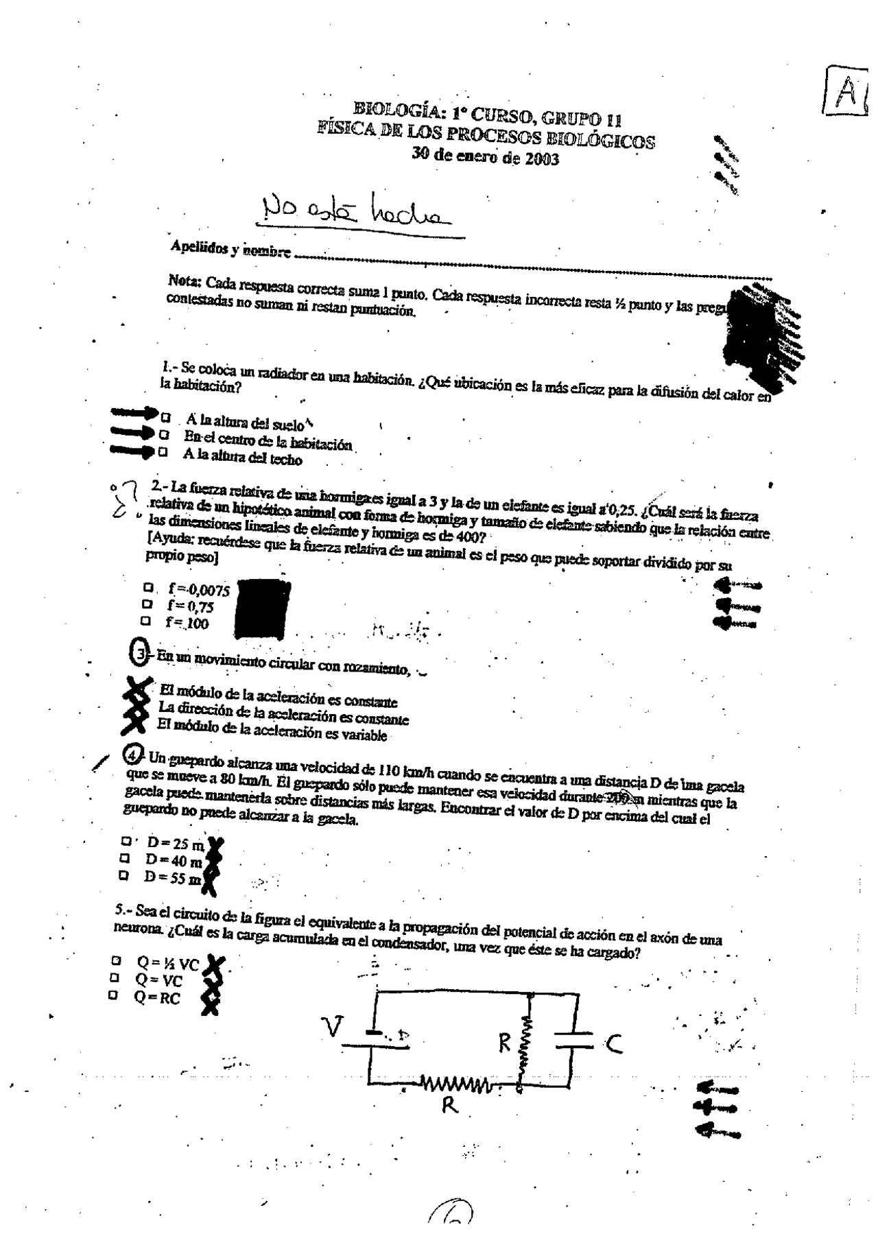 Hormiga Que Posee Fuerza Y Velocidad Examenes 4 - Exámenes de Biología - Docsity