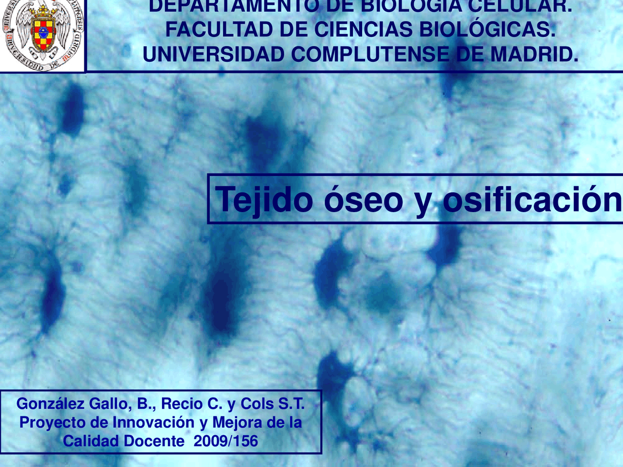 Tejido óseo y osificación DEPARTAMENTO DE BIOLOGÍA CELULAR - Apuntes de ...