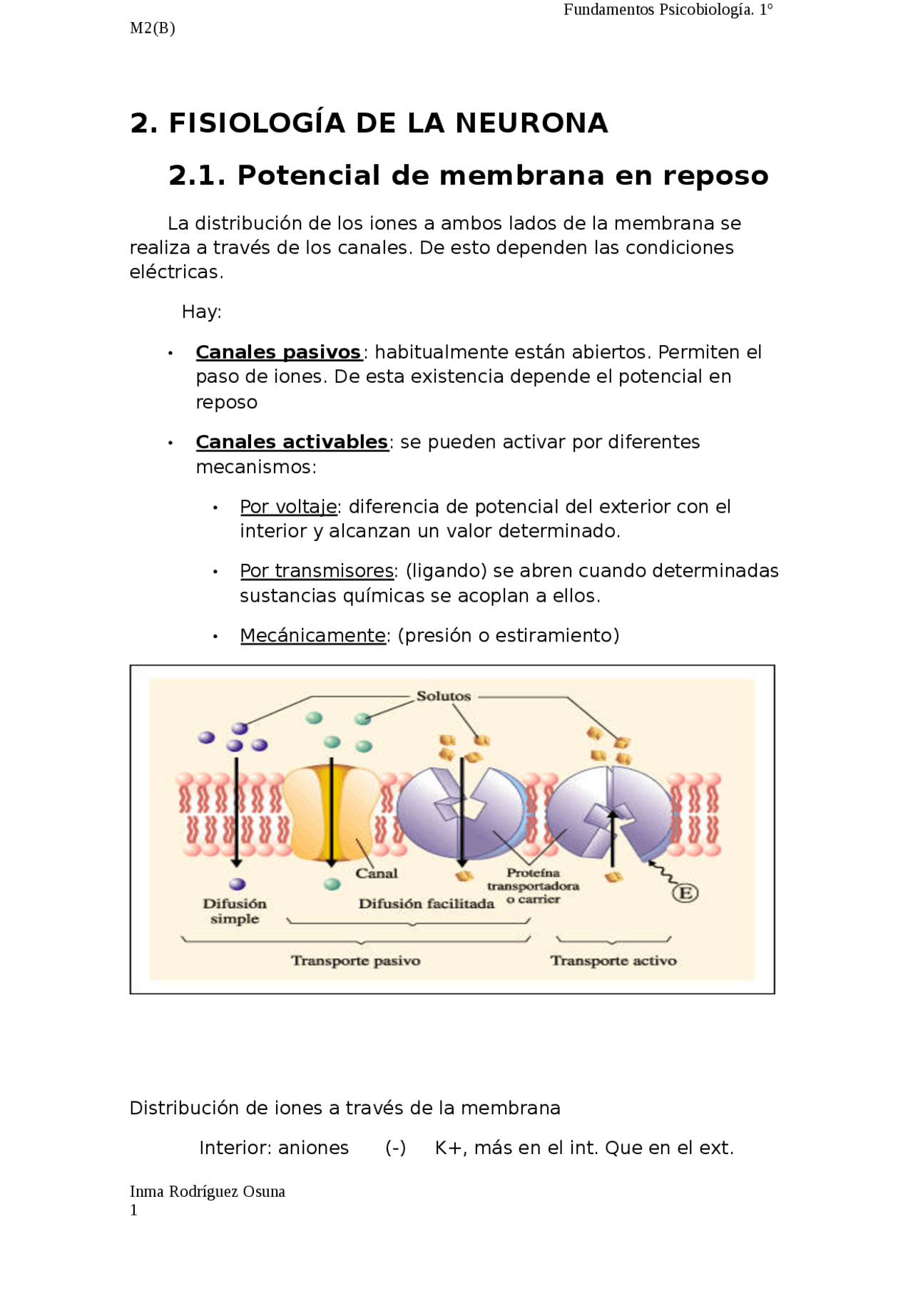 Fisiologia de la neurona - Apuntes de Psicobiología - Docsity