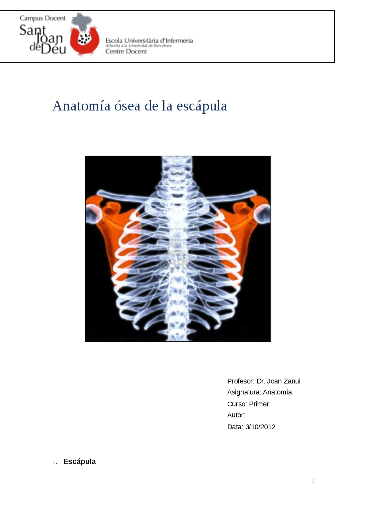Anatomía ósea de la escápula - Apuntes de Anatomía | Docsity