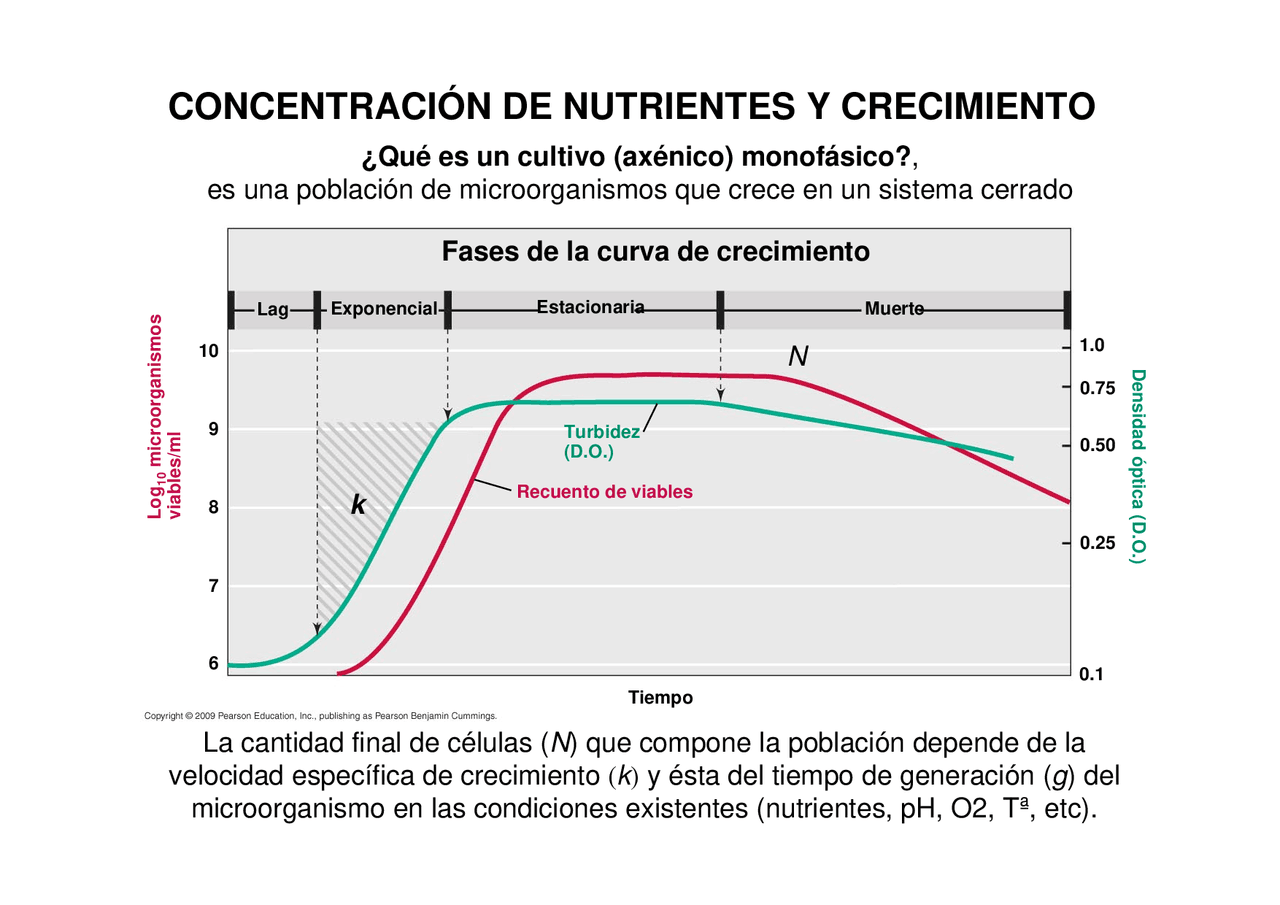 Densidad óptica (D.O.) Apuntes de Fisiología Docsity