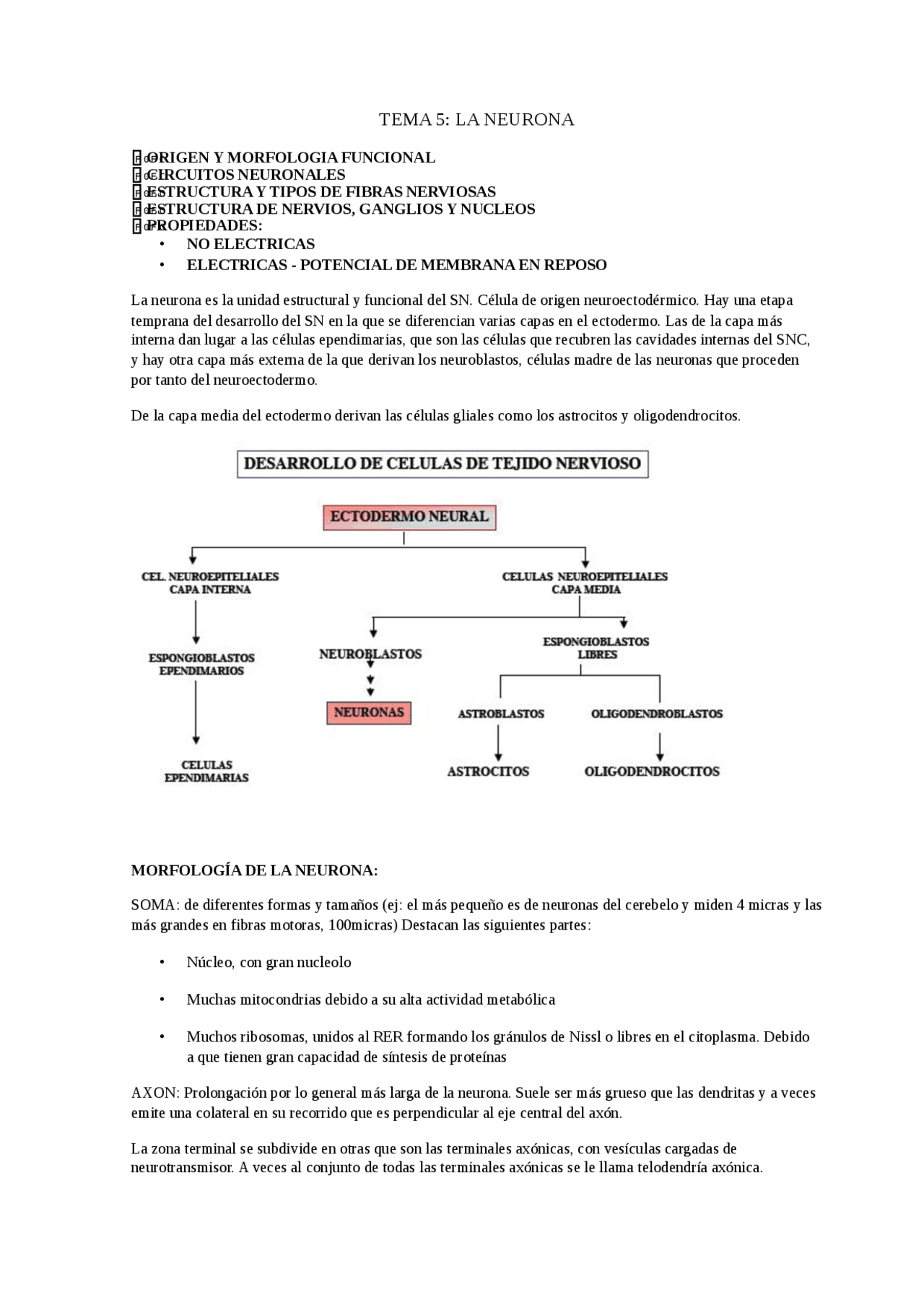 TEMA 5: LA NEURONA - Apuntes de Fisiología Animal - Docsity