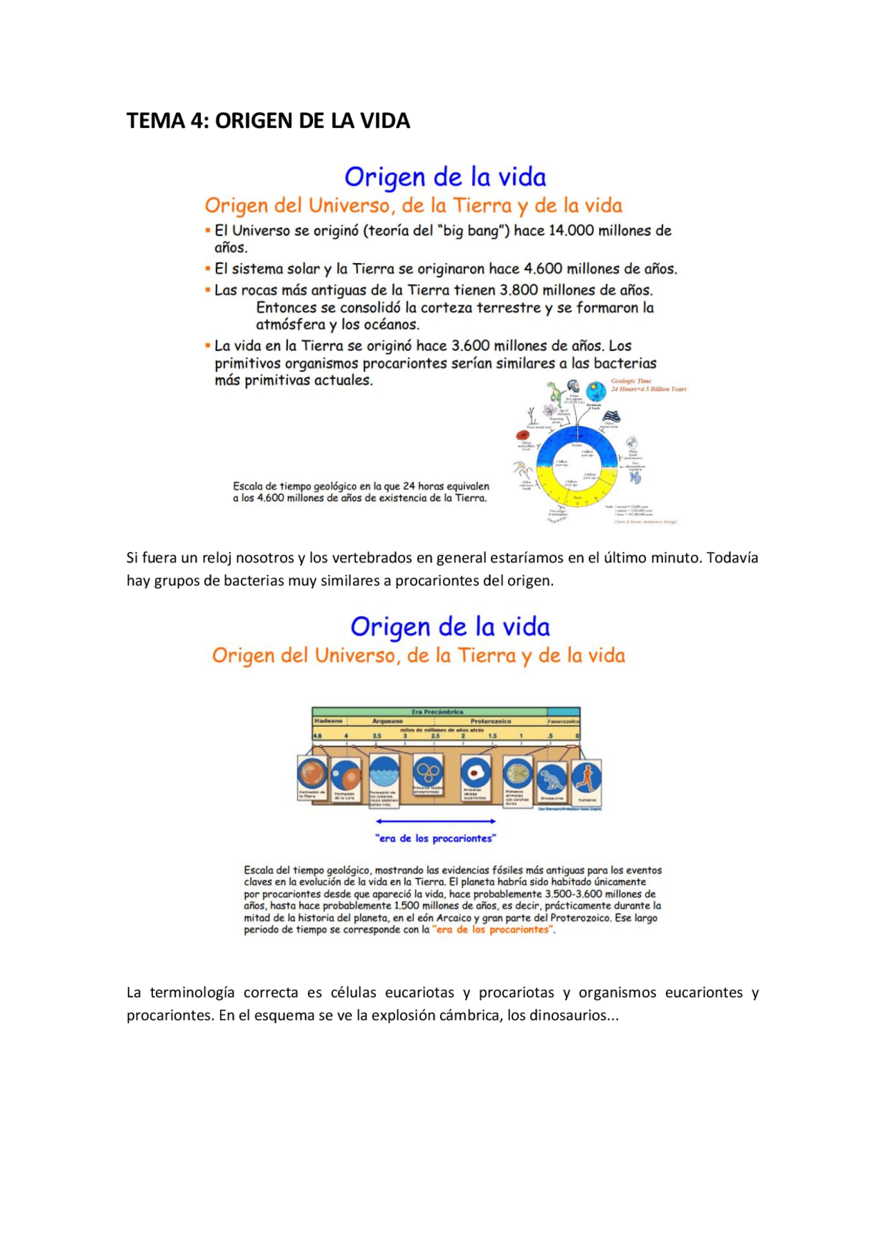 TEMA 4: ORIGEN DE LA VIDA - Apuntes de Biología evolutiva - Docsity
