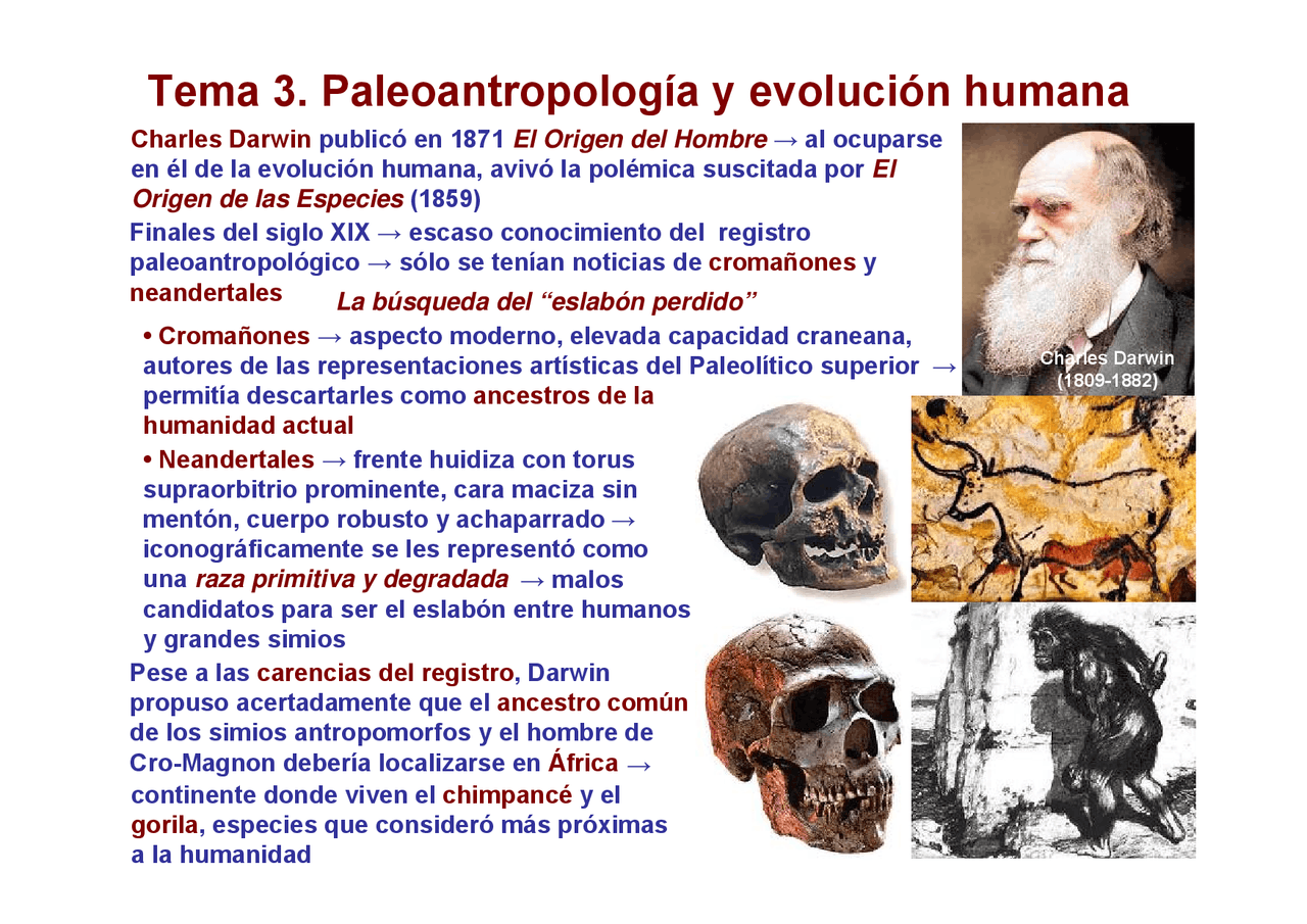 Evolucion humana - Apuntes de Biología | Docsity