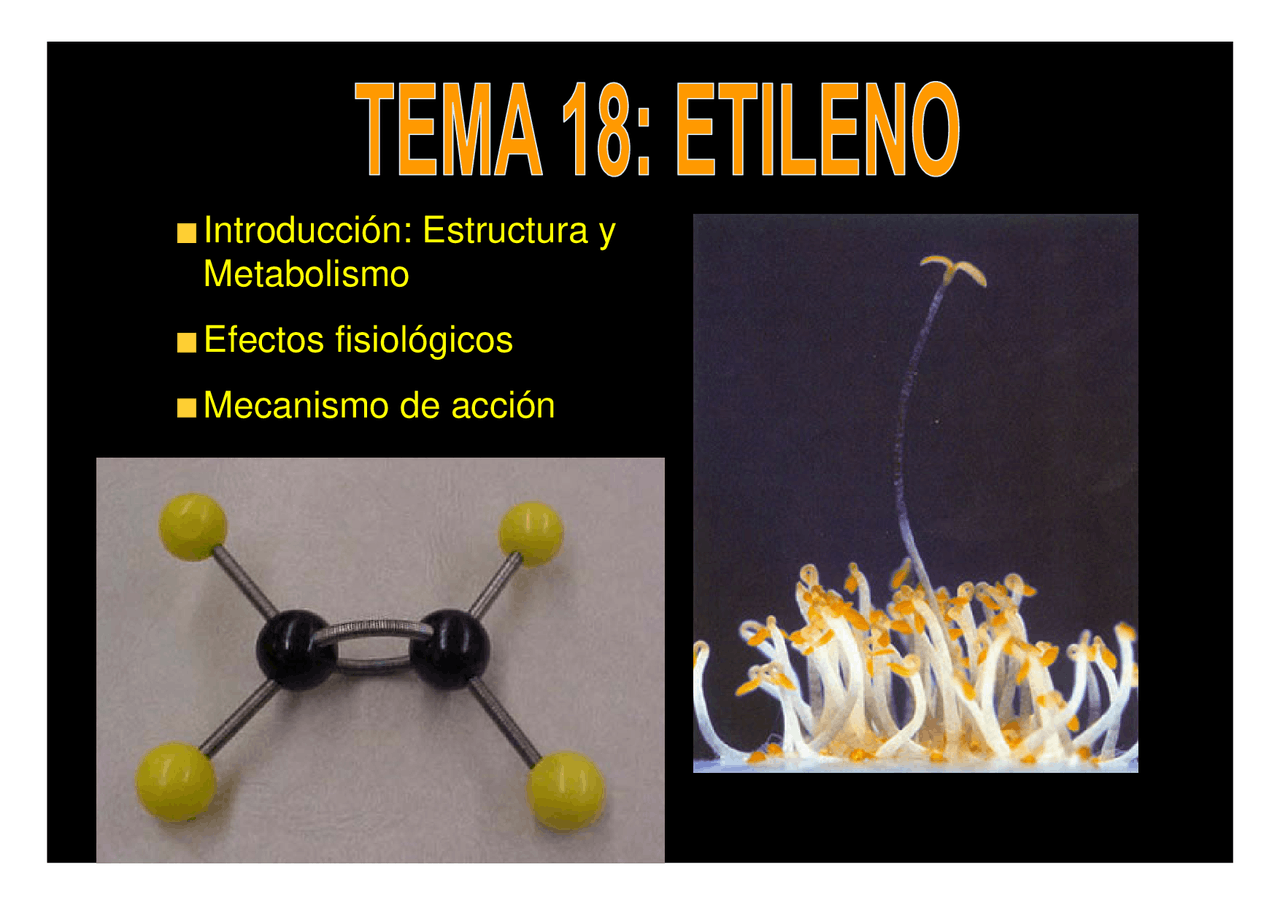 Etileno - Apuntes de Fisiología de las Plantas - Docsity