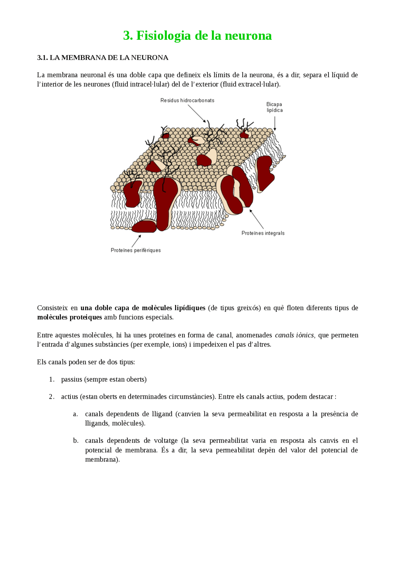 Fisiologia de la neurona. UOC - Apuntes de Psicobiología - Docsity