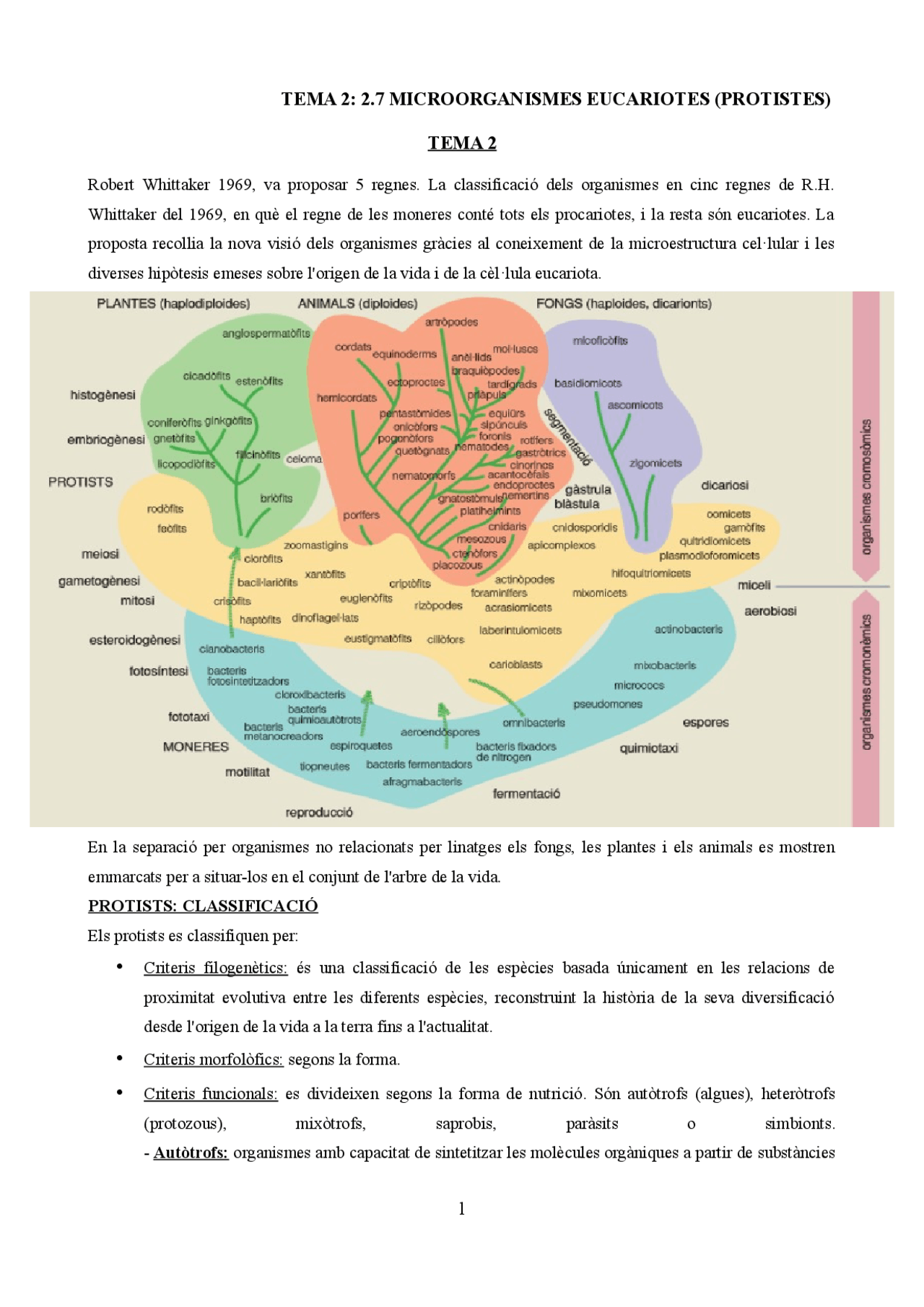 MICROORGANISMES EUCARIOTES (PROTISTES) - Apuntes de BiologÃa - Docsity