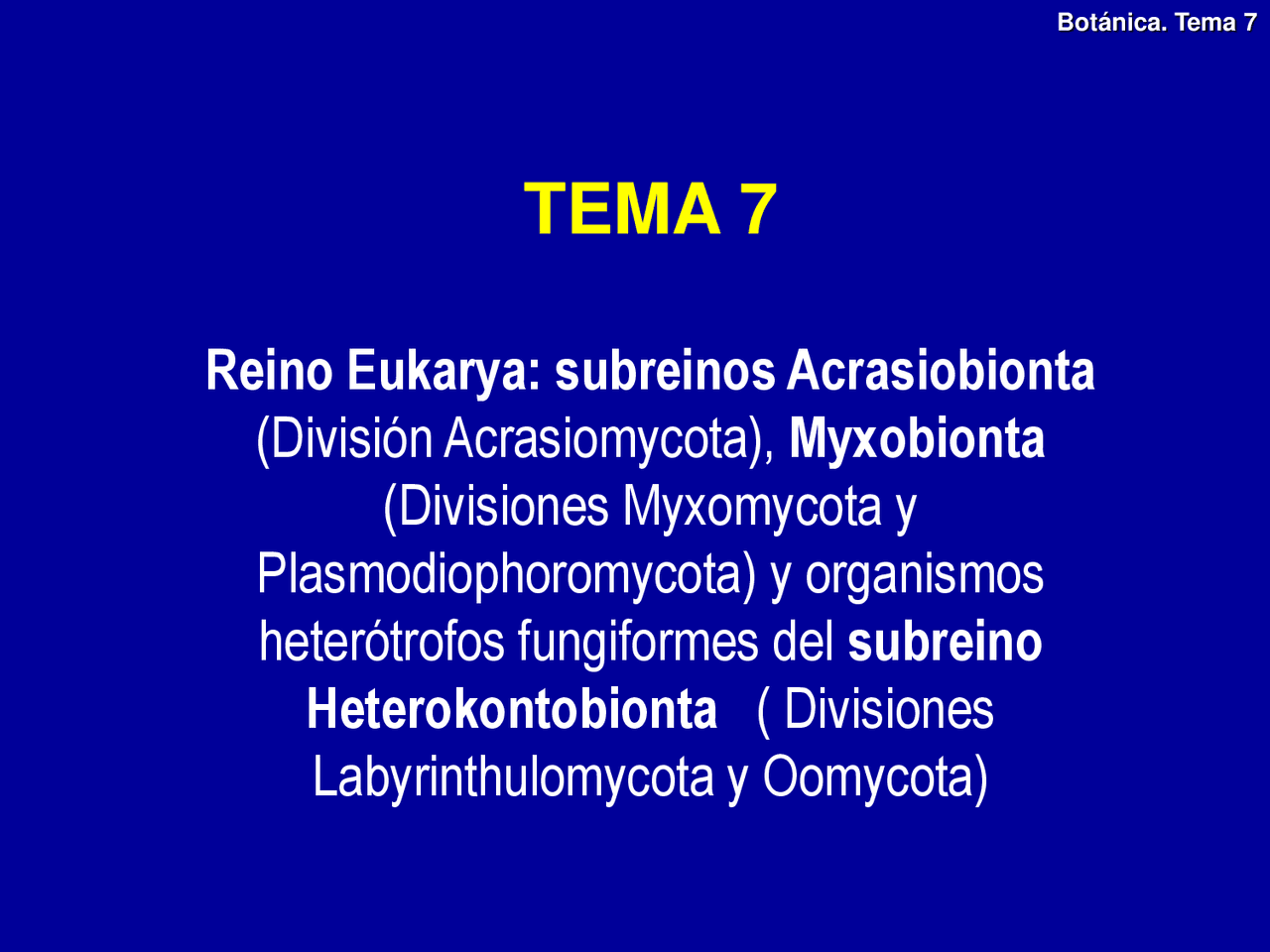 TEMA 7 Reino Eukarya: subreinos Acrasiobionta (División Acrasiomycota ...