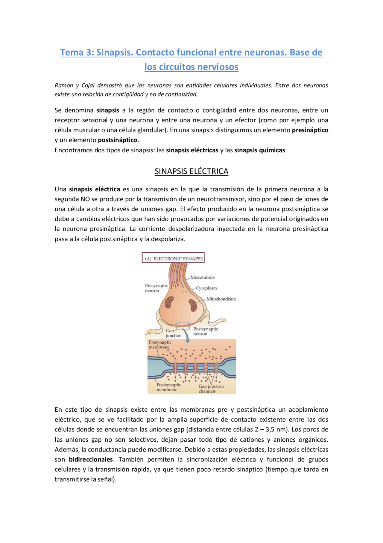 Tema 3 Fisiología Animal - Apuntes de Fisiología Animal - Docsity