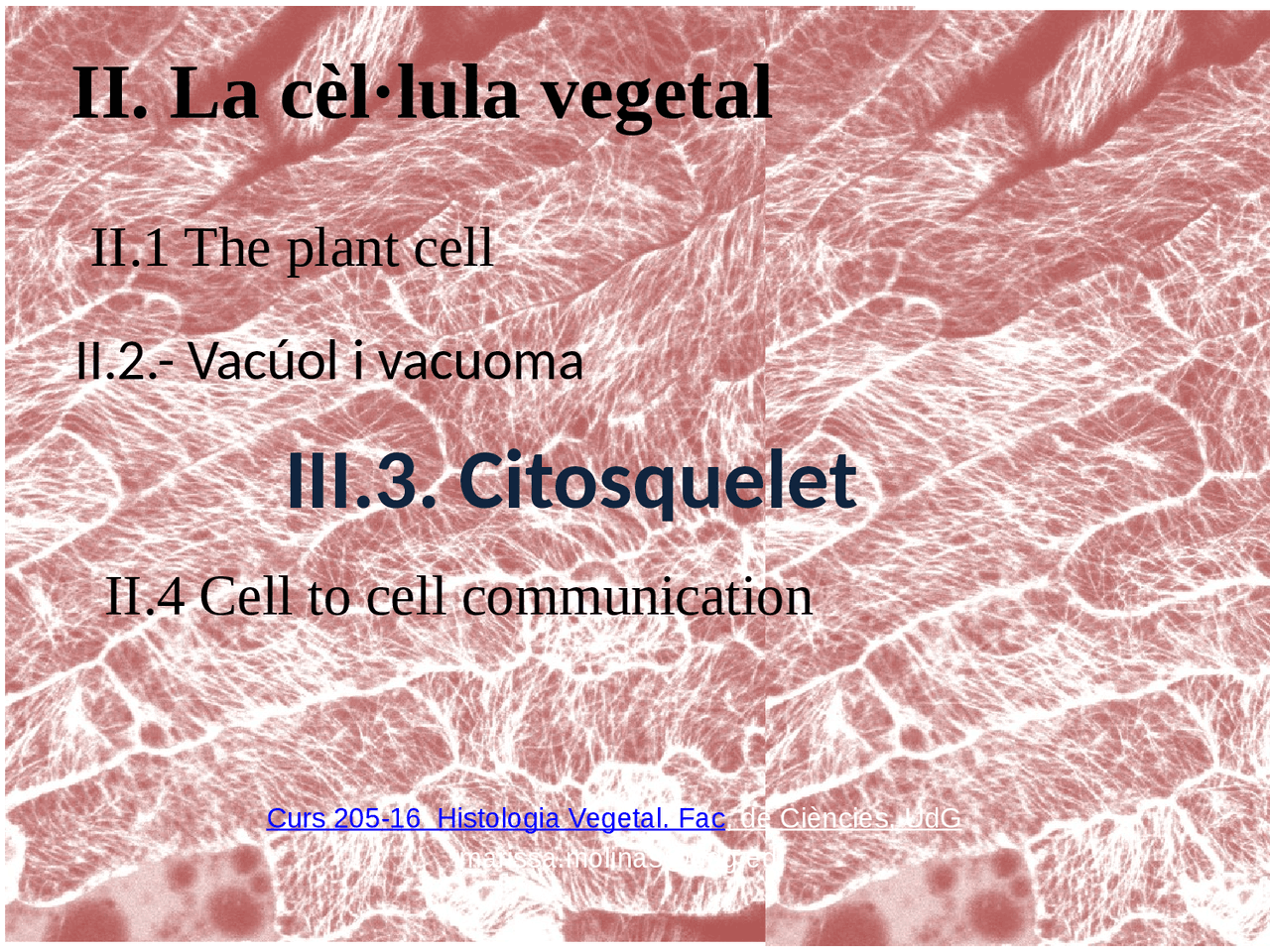 Cito power 2 - Apuntes de Biología - Docsity
