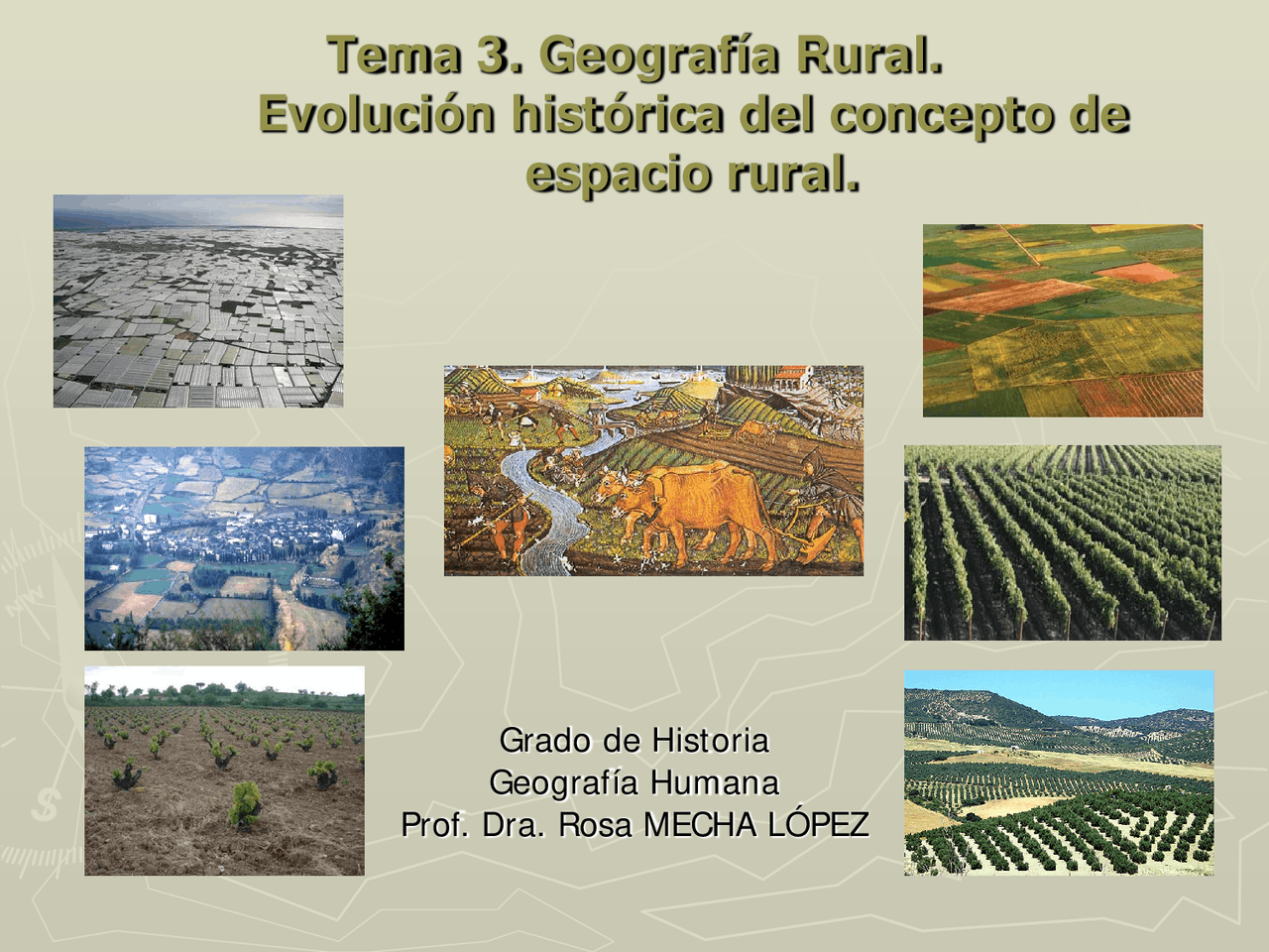 Evolución del concepto de espacio rural a lo largo de l - Apuntes de ...